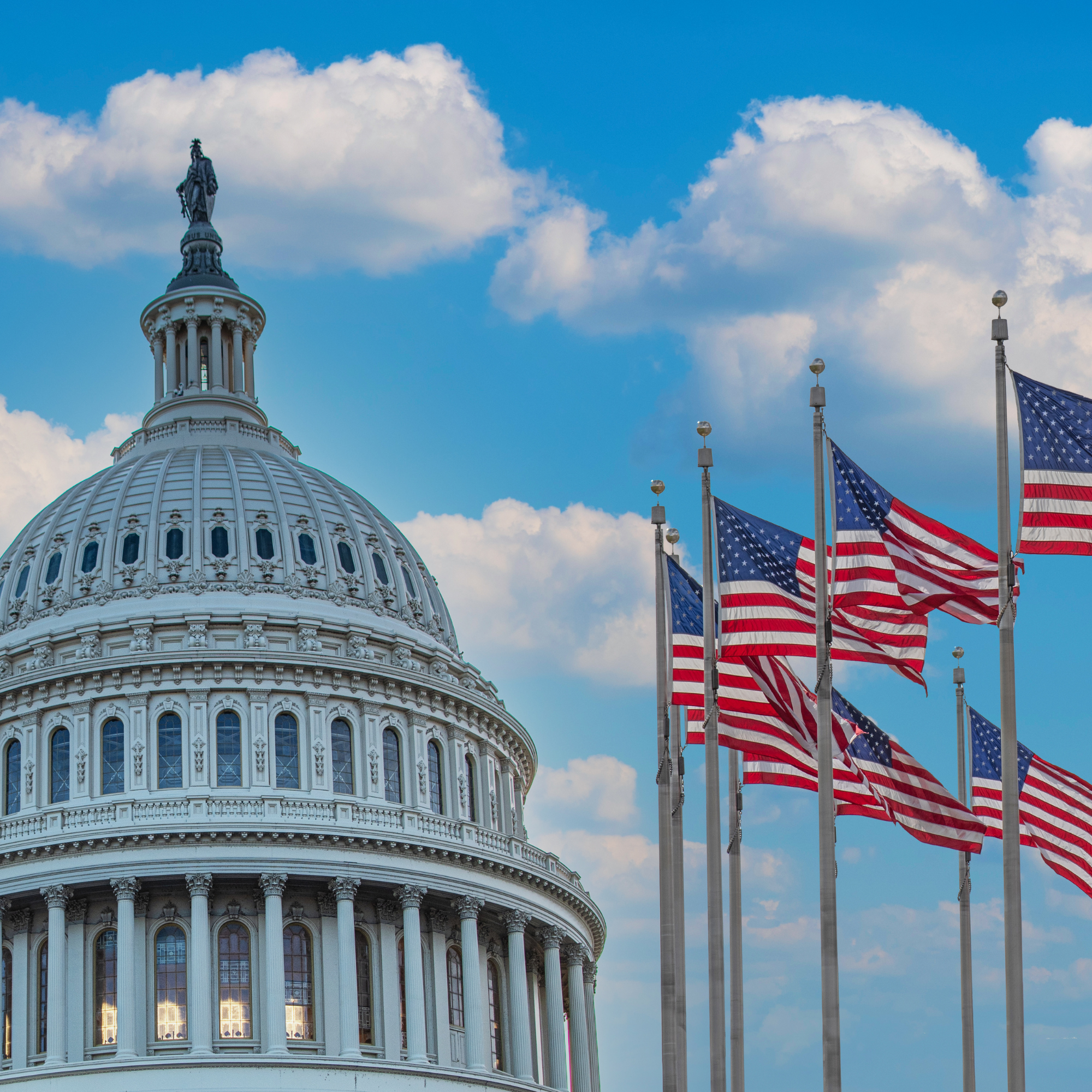 U.S. Government (10th–12th)
