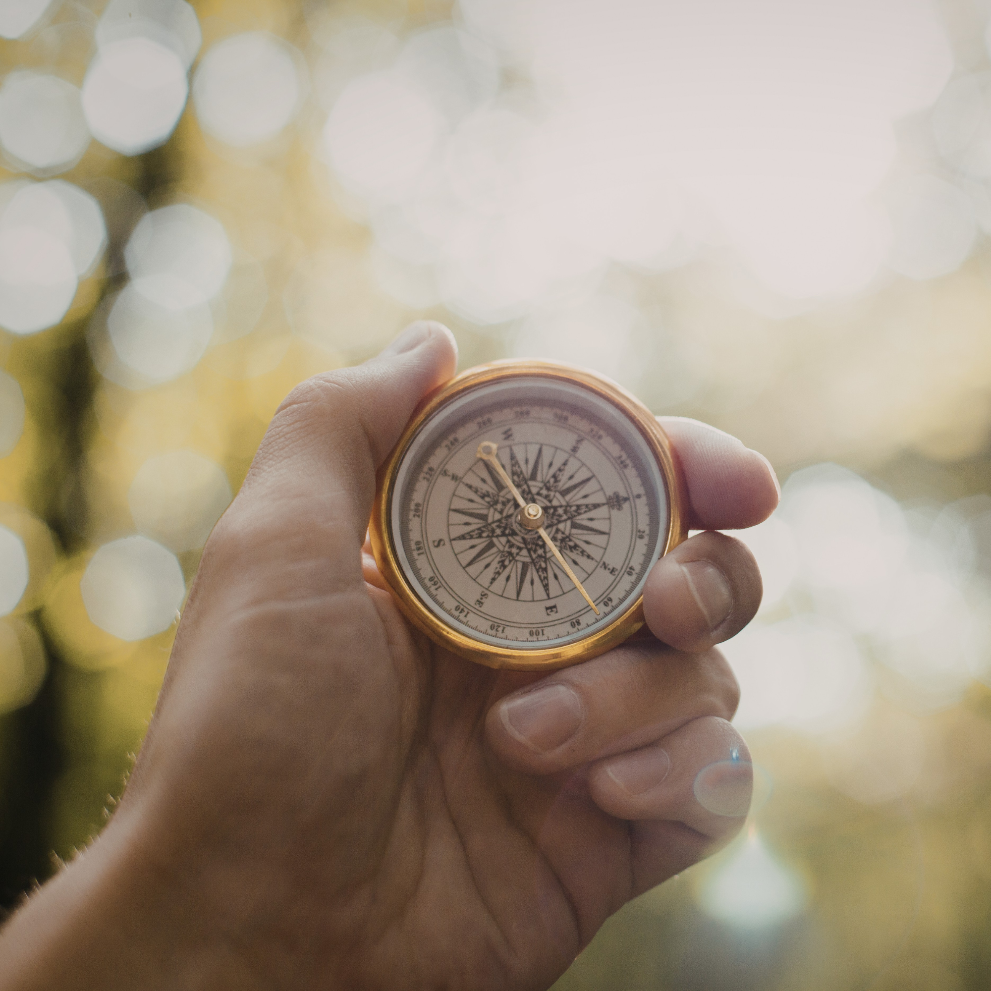 TriStar_Tutorial_WebsiteImages (35).png