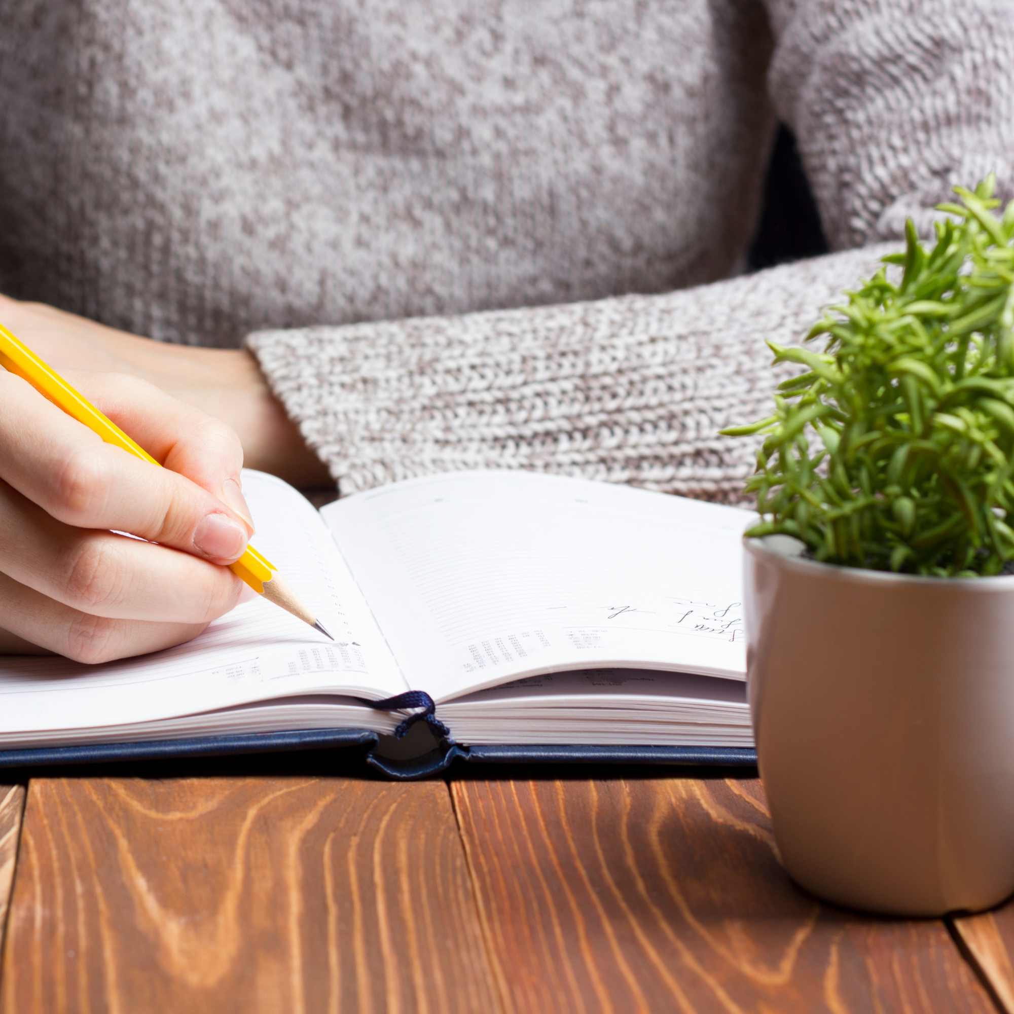 TriStar_Tutorial_WebsiteImages (2).png