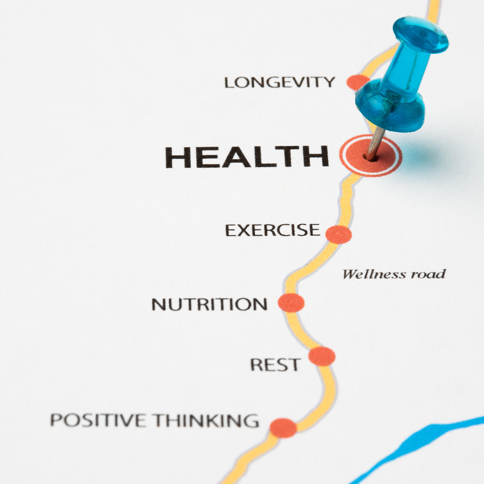 Health & Wellness (9th-12th)