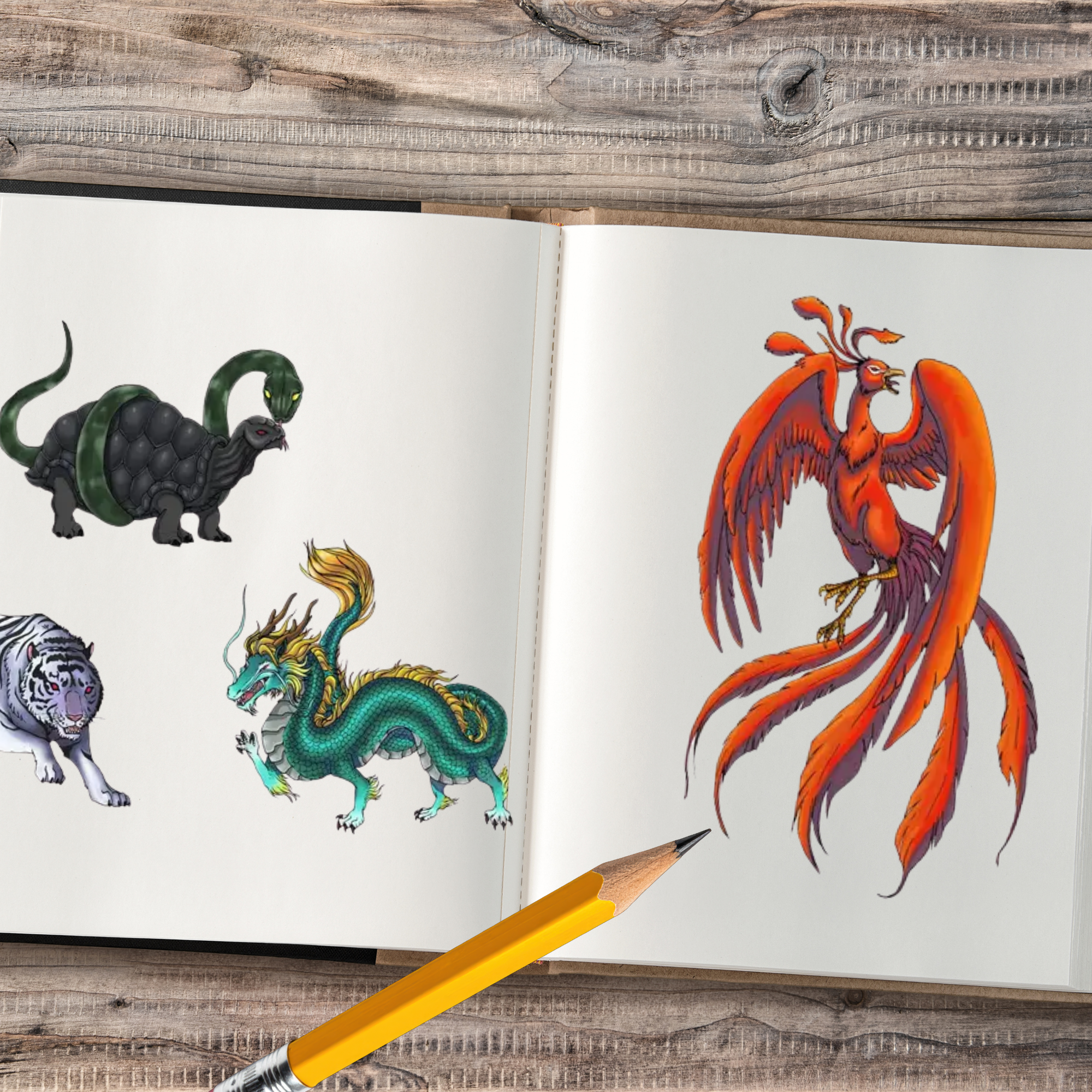 TriStar_Tutorial_WebsiteImages (6).png