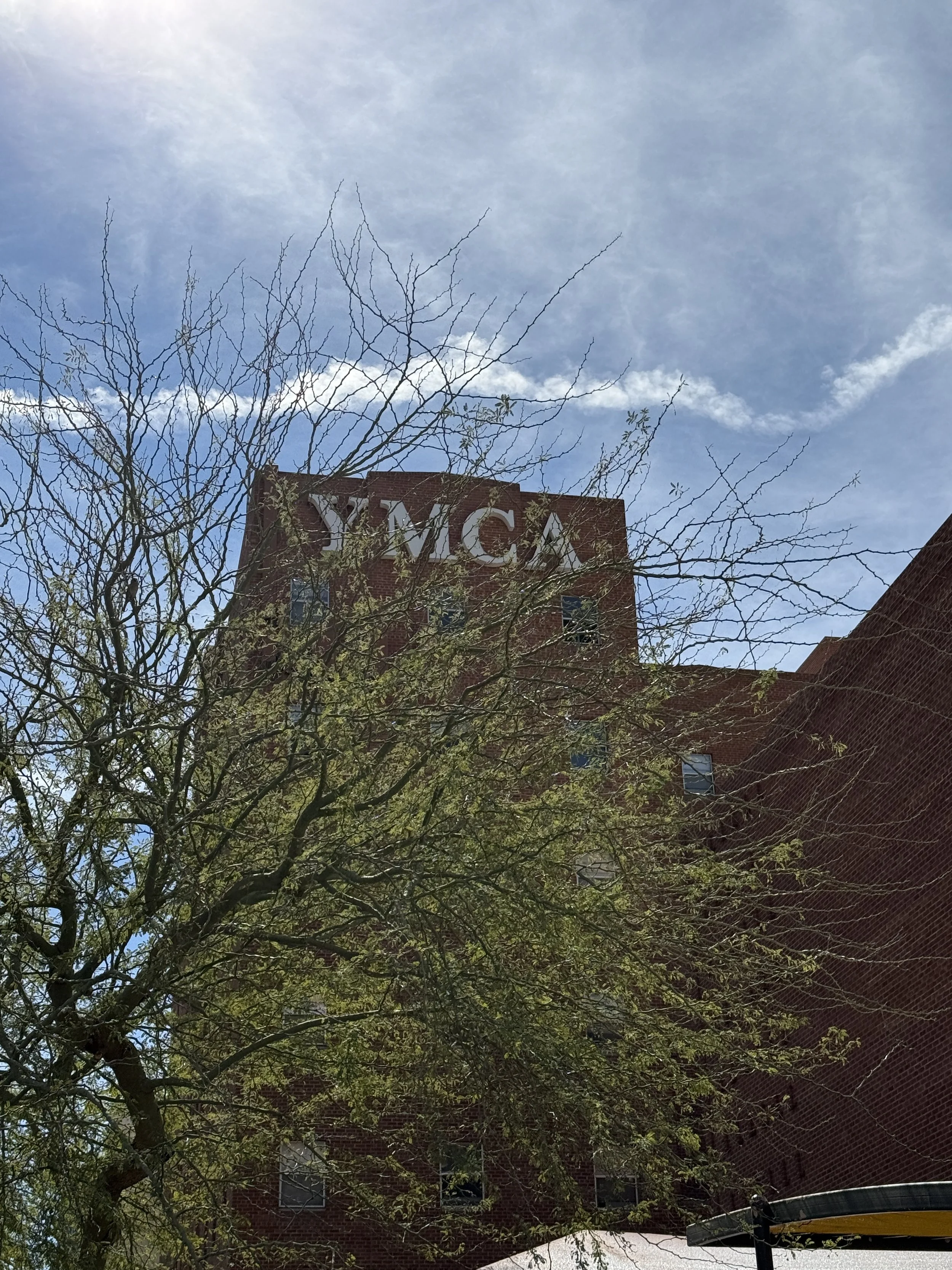 The tree blocks part of the YMCA from view