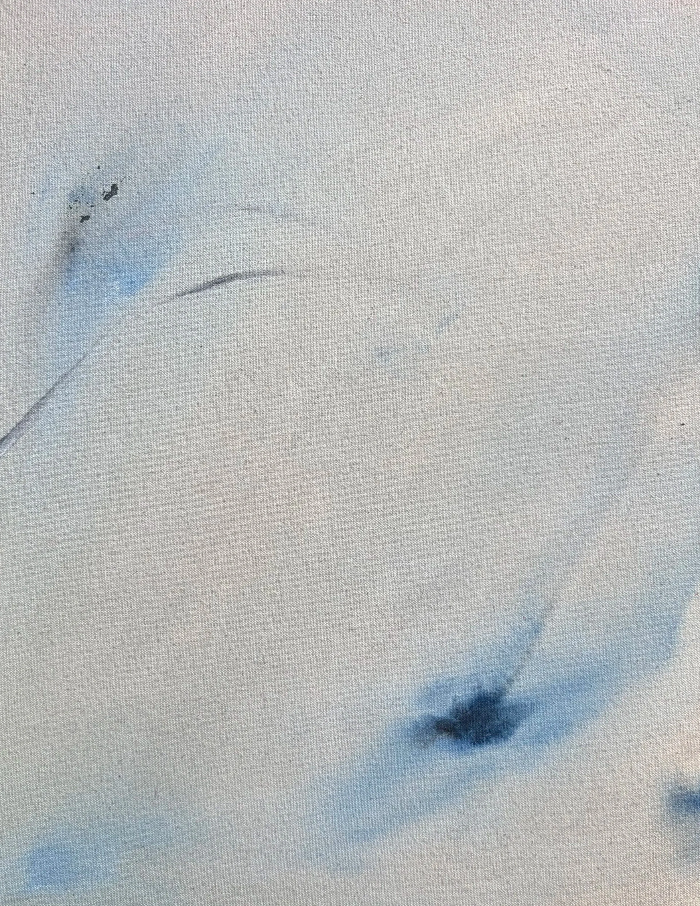 "Blue Jay," acrylic on raw canvas, 14 x 18 in, available