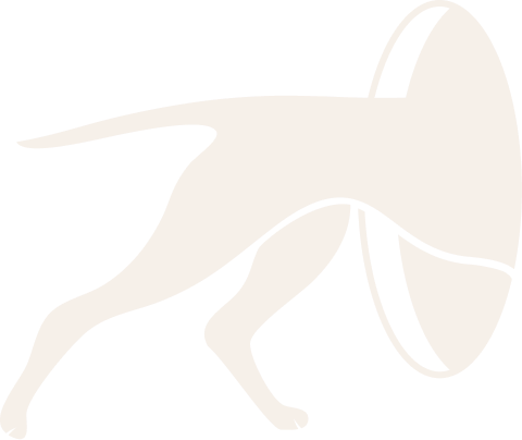 Black and white illustration of a dog lying down with a soccer ball in front of it.