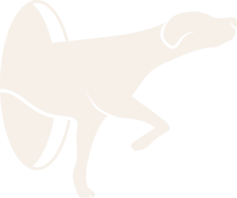 Silhouette of a dog, possibly a Labrador, against a black background.