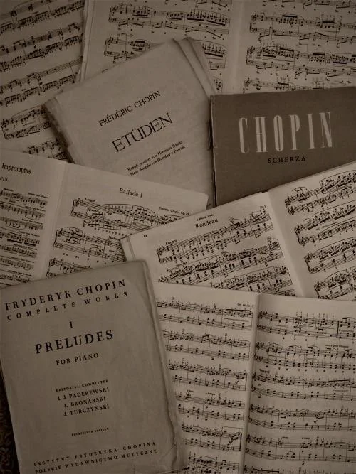 Selecting Diverse Repertoire