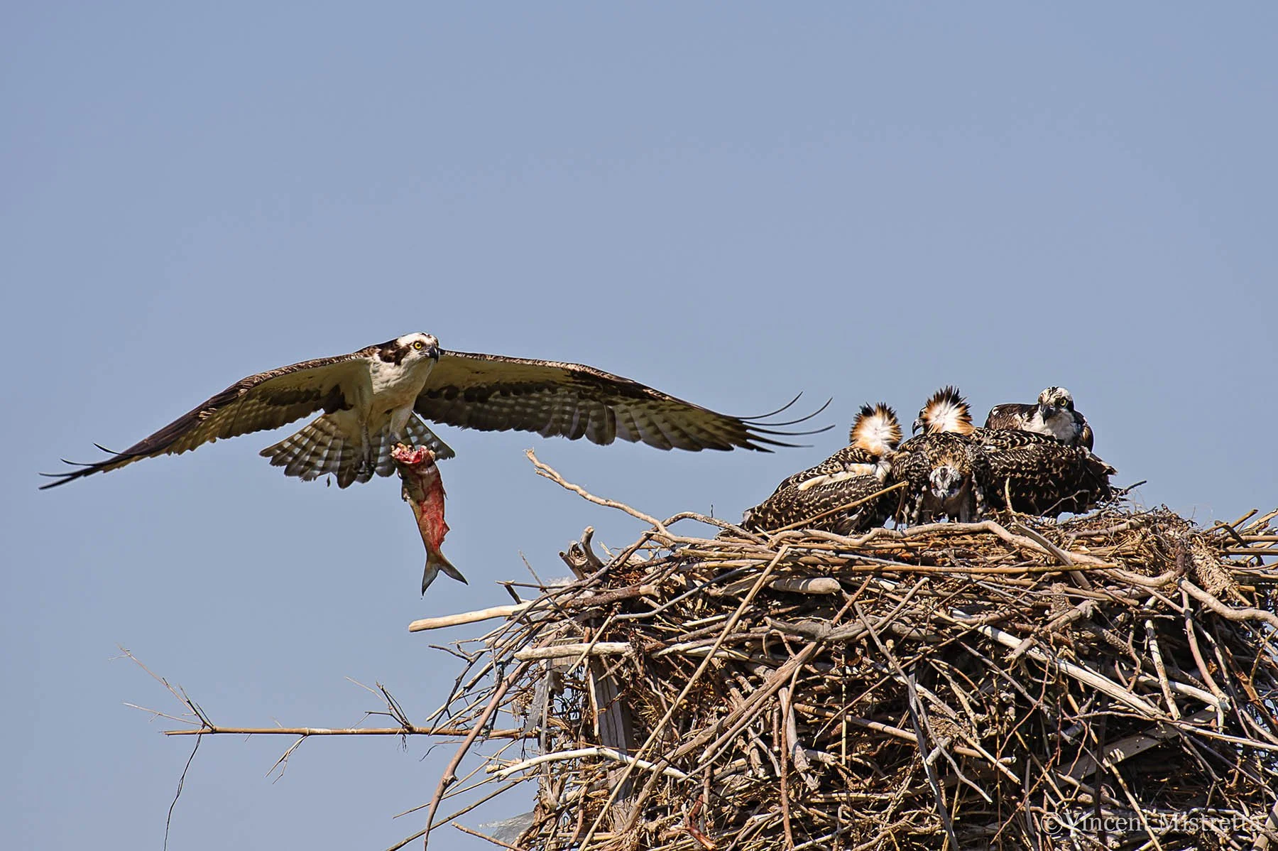 What Credit Markets Taught Me About Leading Through Uncertainty - Intro Series #1