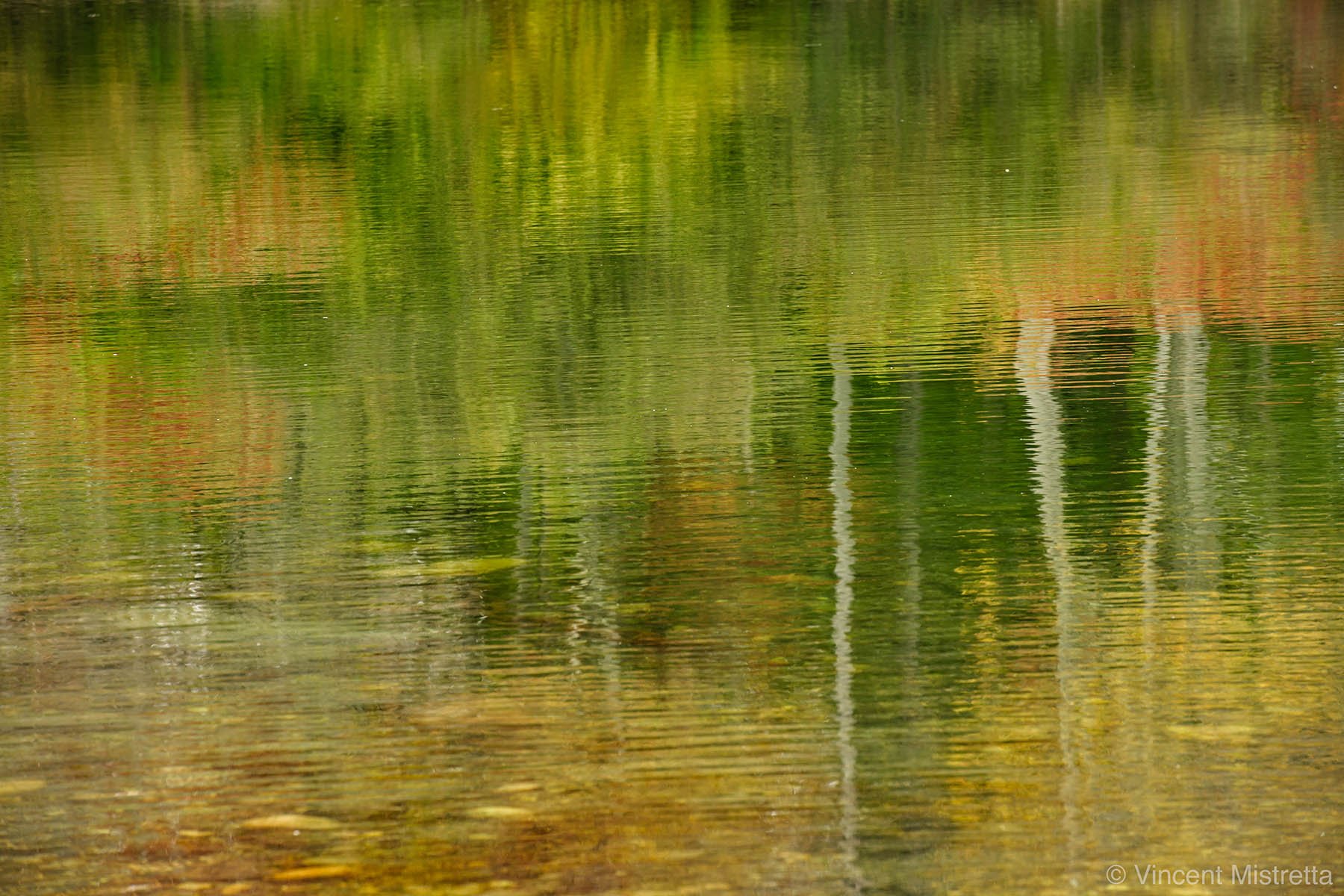 The Loneliness Paradox: Why Senior Leaders Need a Thinking Partner- Intro Series #2