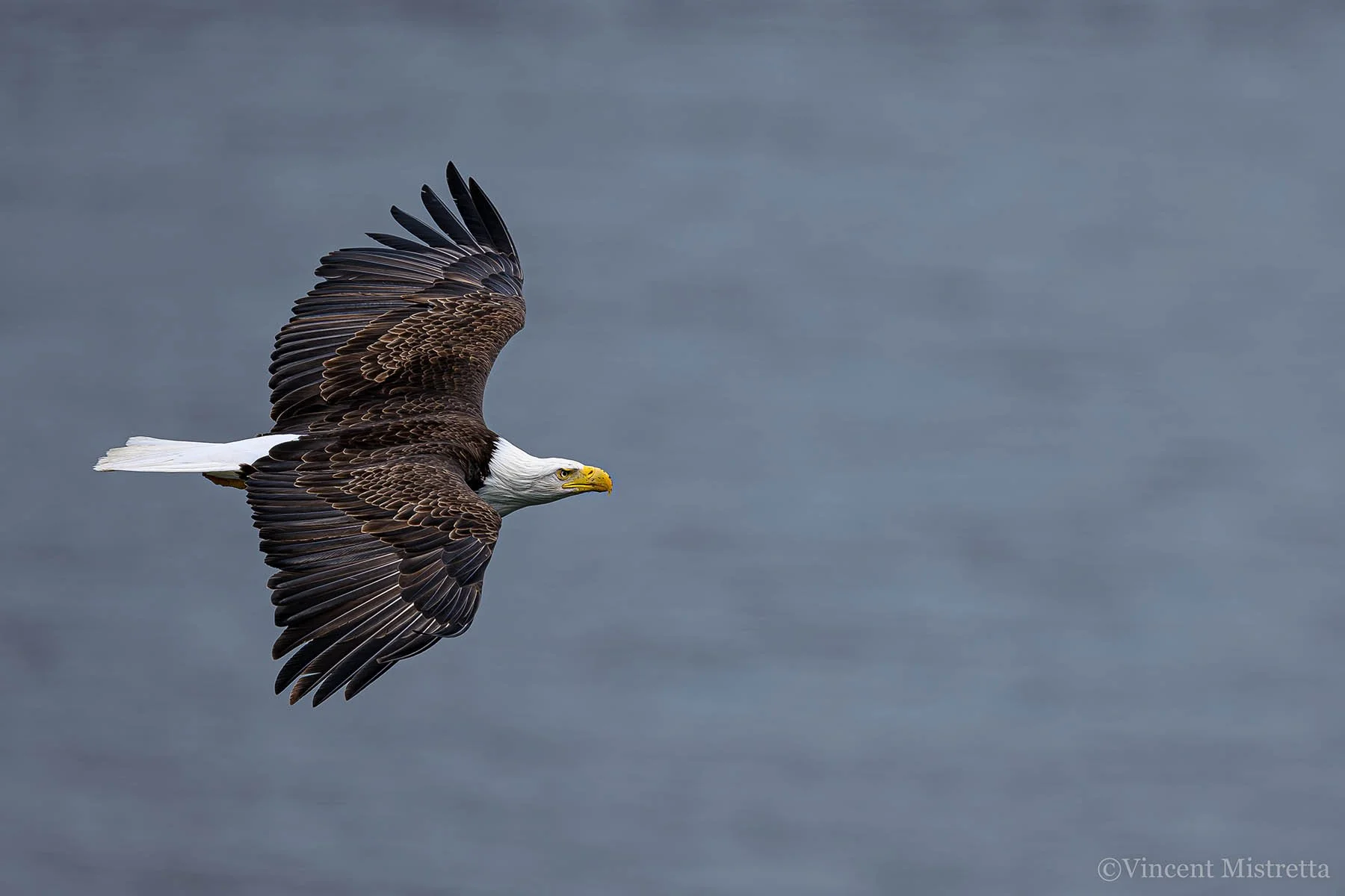 Building for the Day You Leave- Intro Series #7