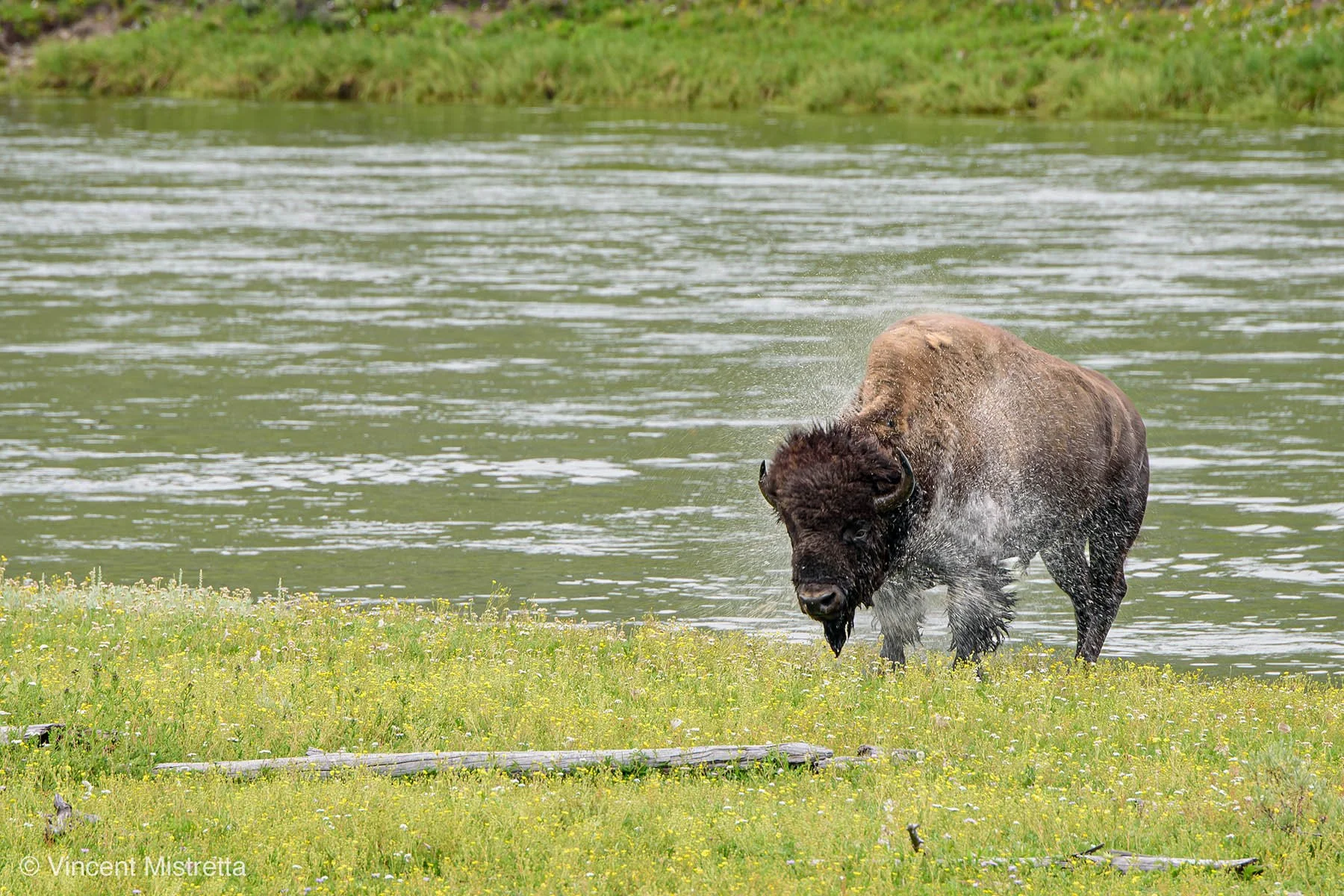 The Leader You Are Is the Organization You Build- Intro Series #8