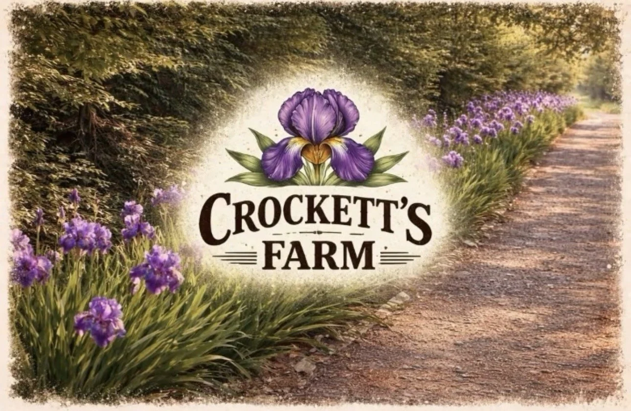 𝚃𝚑𝚎 𝙲𝚛𝚘𝚌𝚔𝚎𝚝𝚝'𝚜 𝙵𝚊𝚛𝚖