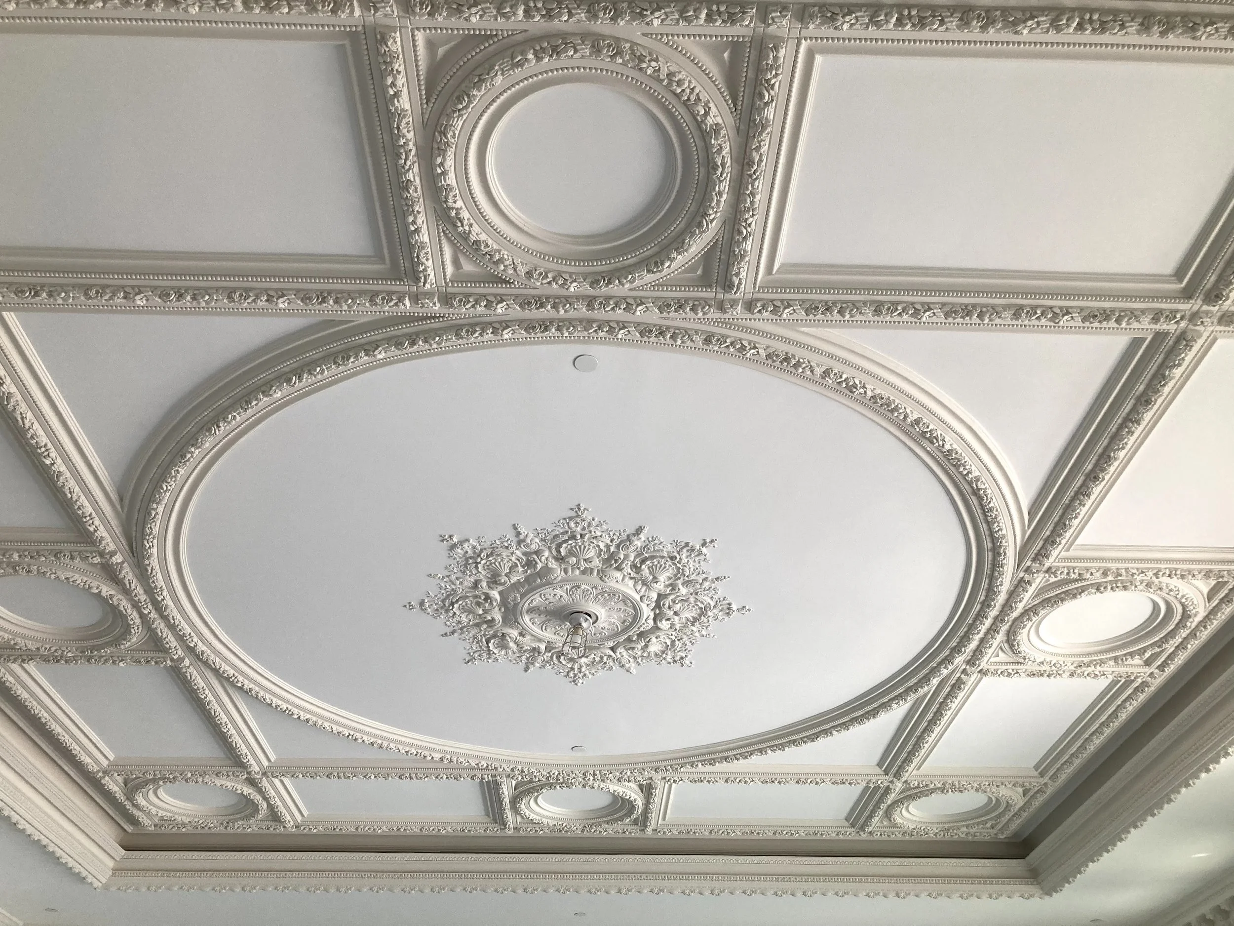 Ceiling with ornate white molding and decorative plasterwork, including a central floral design surrounding a light fixture