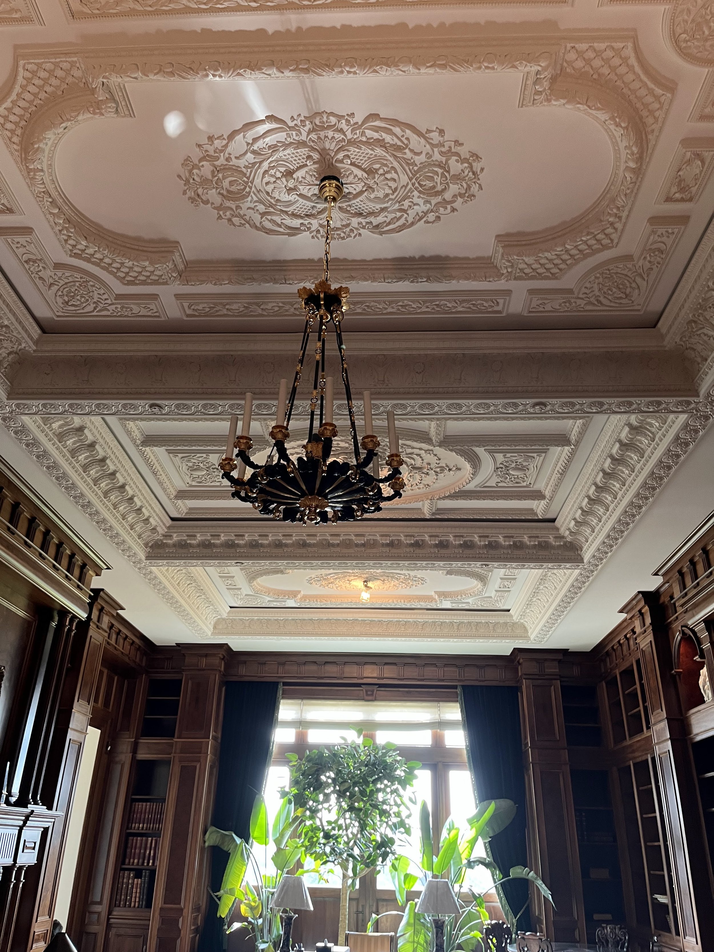Interior room with ornate ceiling featuring elaborate plaster moldings and a chandelier, large window with dark curtains, and lush green plants near the window.