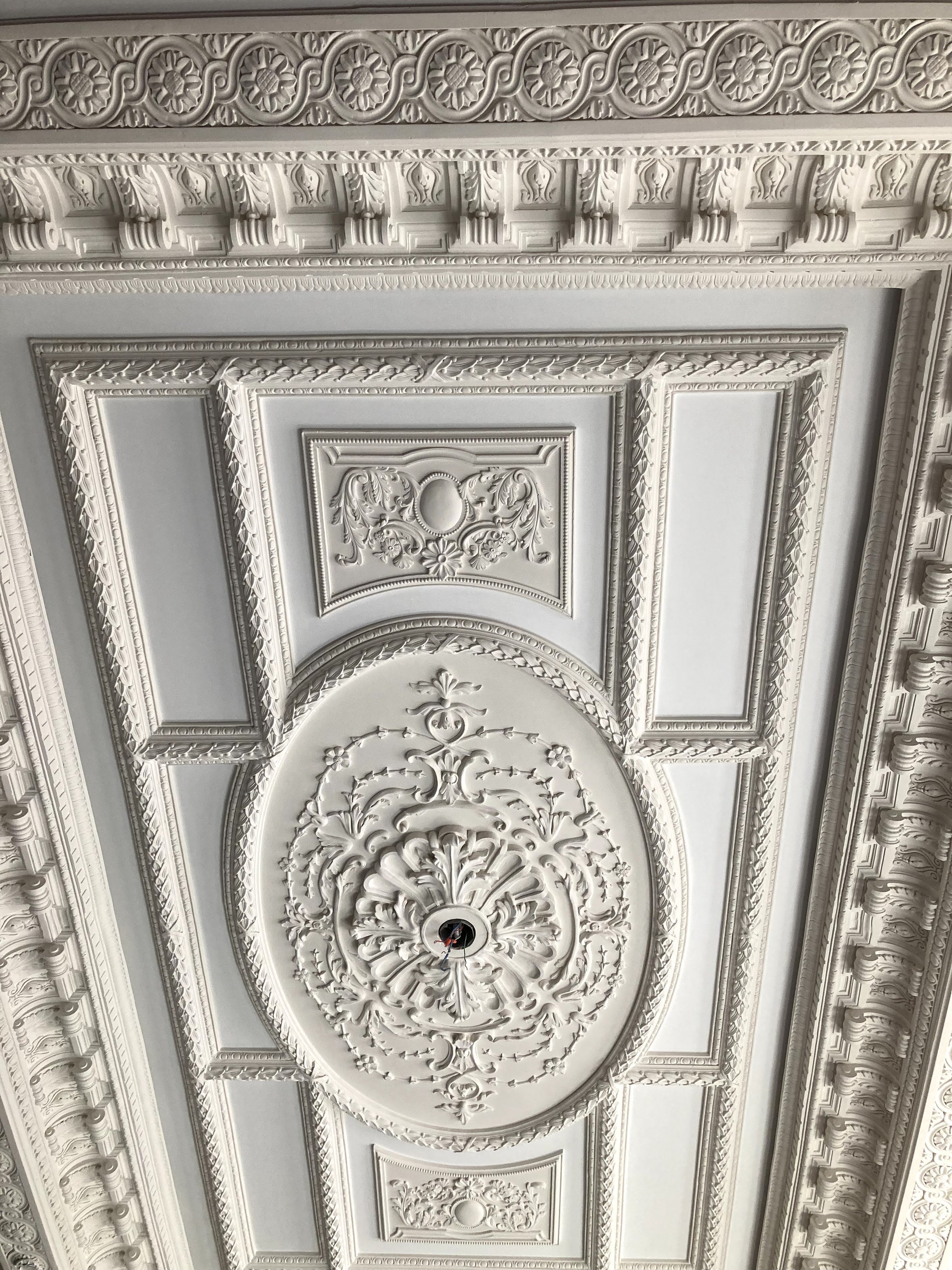 Ornate white ceiling with intricate plasterwork, including floral and leaf motifs, geometric shapes, and decorative borders surrounding a central medallion with a light fixture.