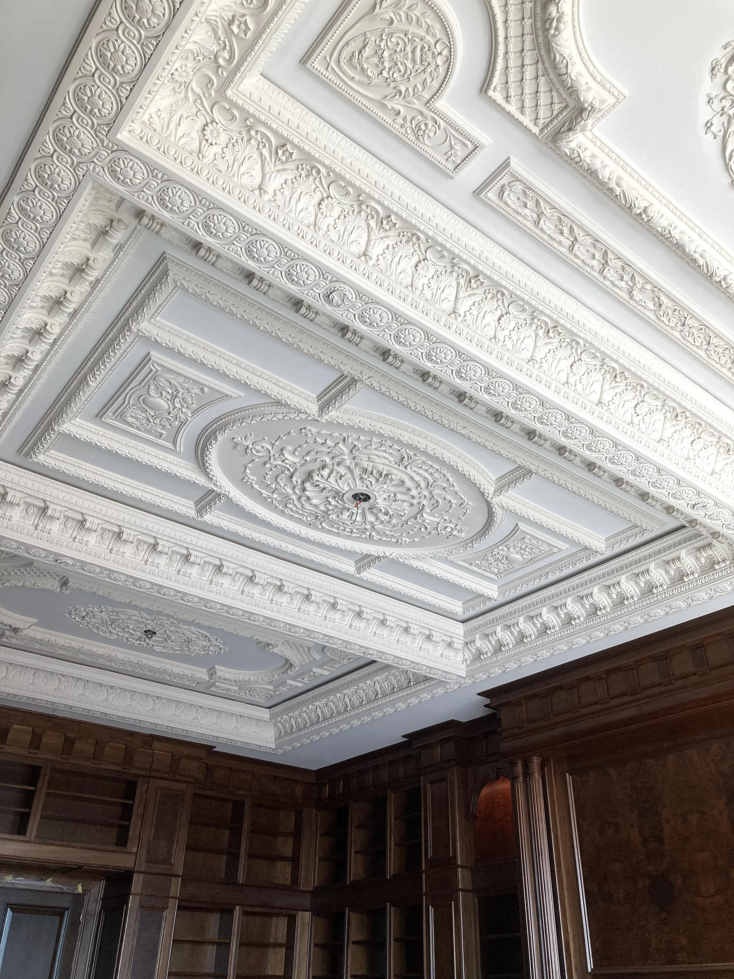 Ornate white decorative ceiling with intricate moldings and designs, and dark wooden wall paneling.
