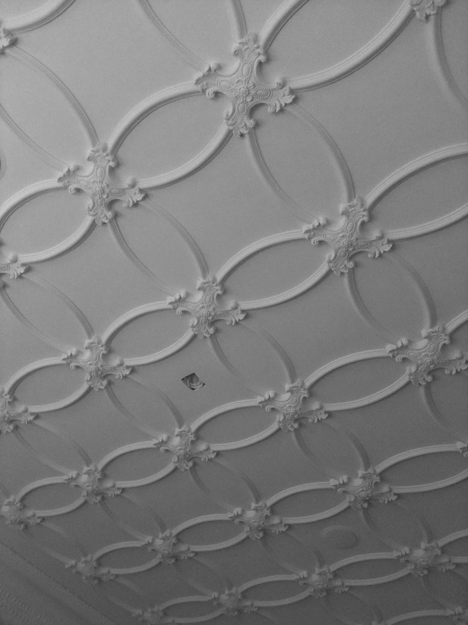 Ornate ceiling with decorative molding and floral motifs, painted in white.