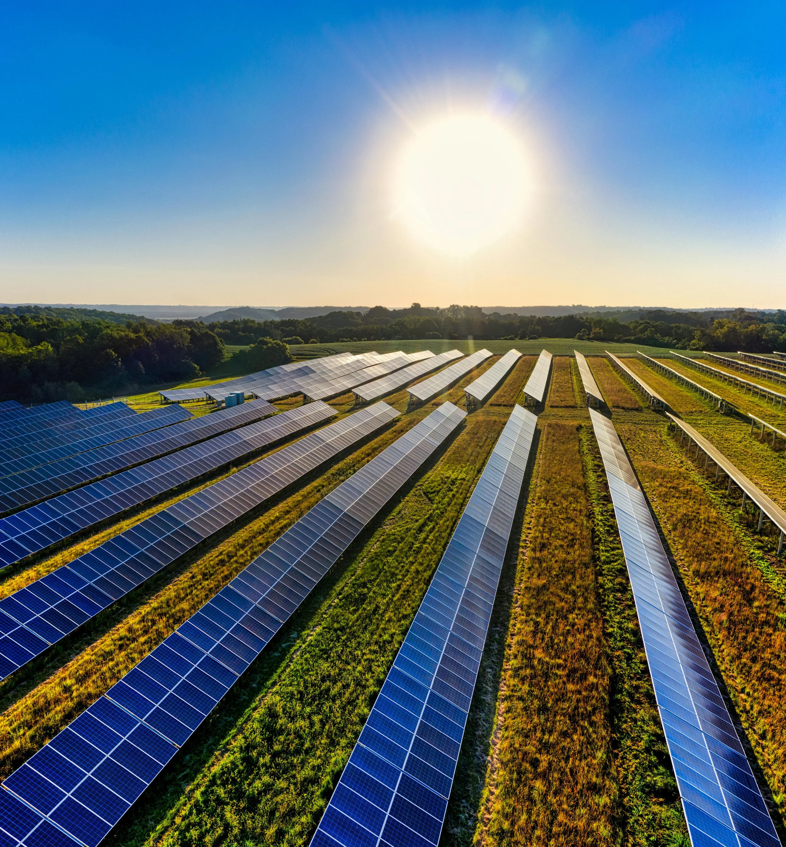 What ESG Compliance Really Means for Your Business: A Practical Guide for SMEs