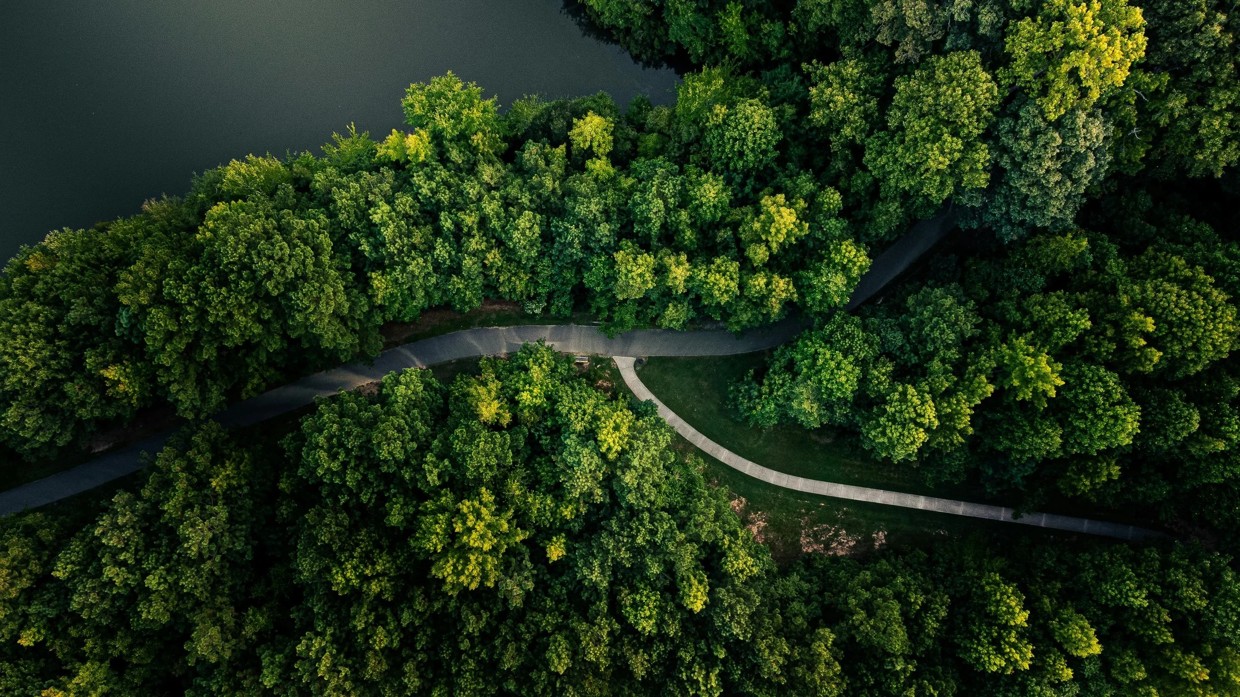 The 21 EcoVadis Criteria: How to Prepare for Each One