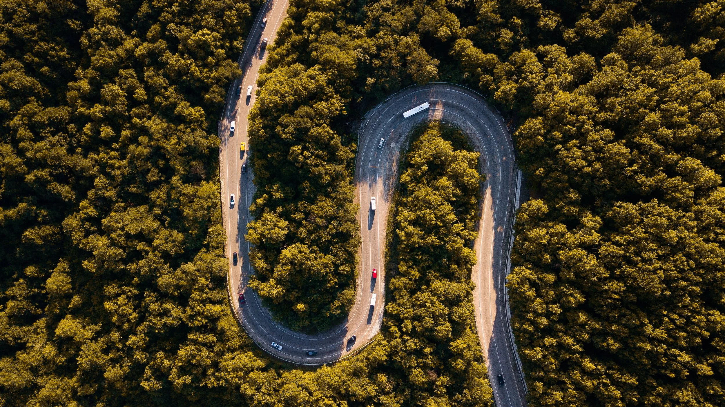 EcoVadis Bronze Is Not a Failure. It Is a Roadmap