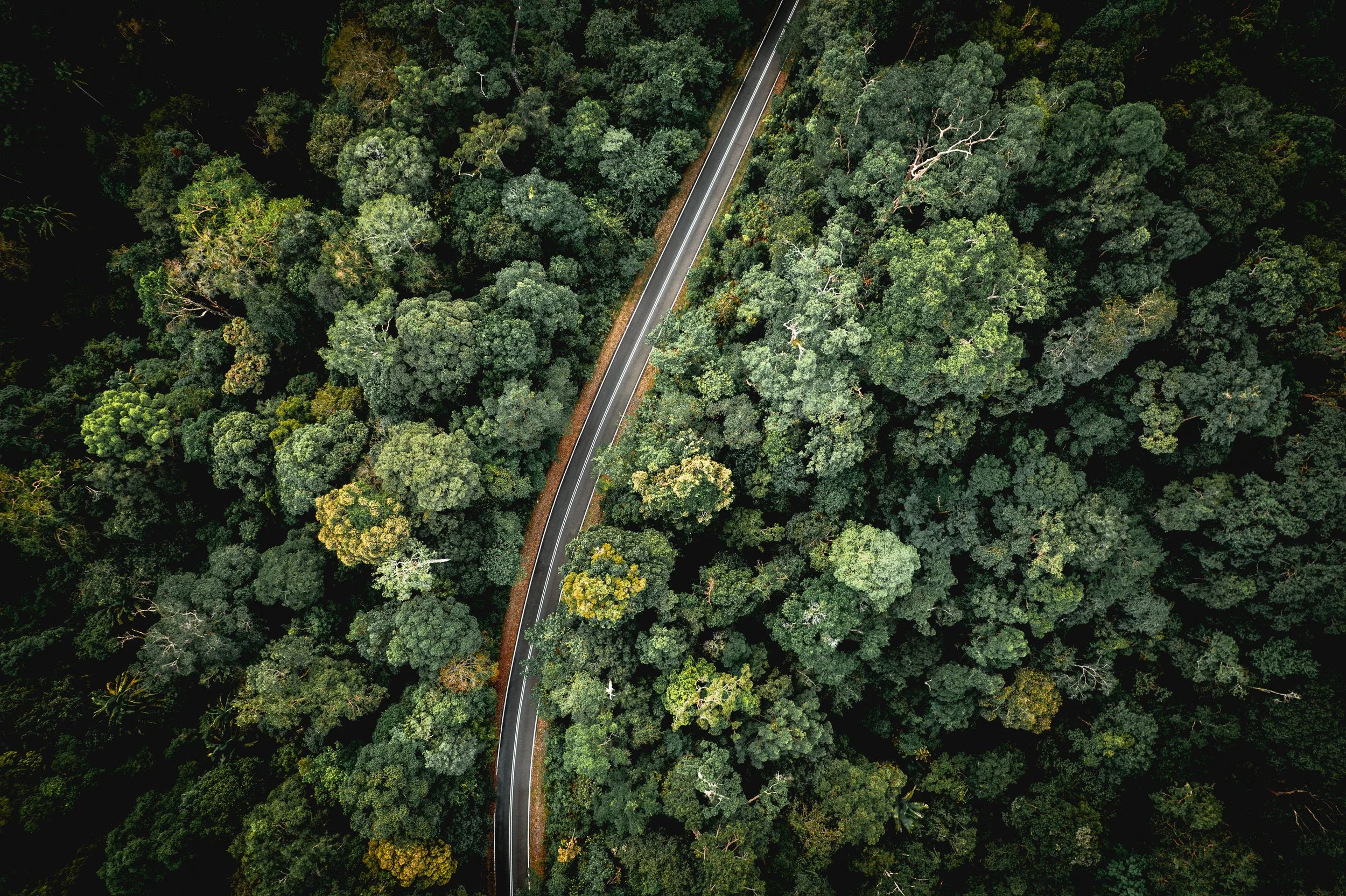 EcoVadis Evidence: How to Map the Right Documents