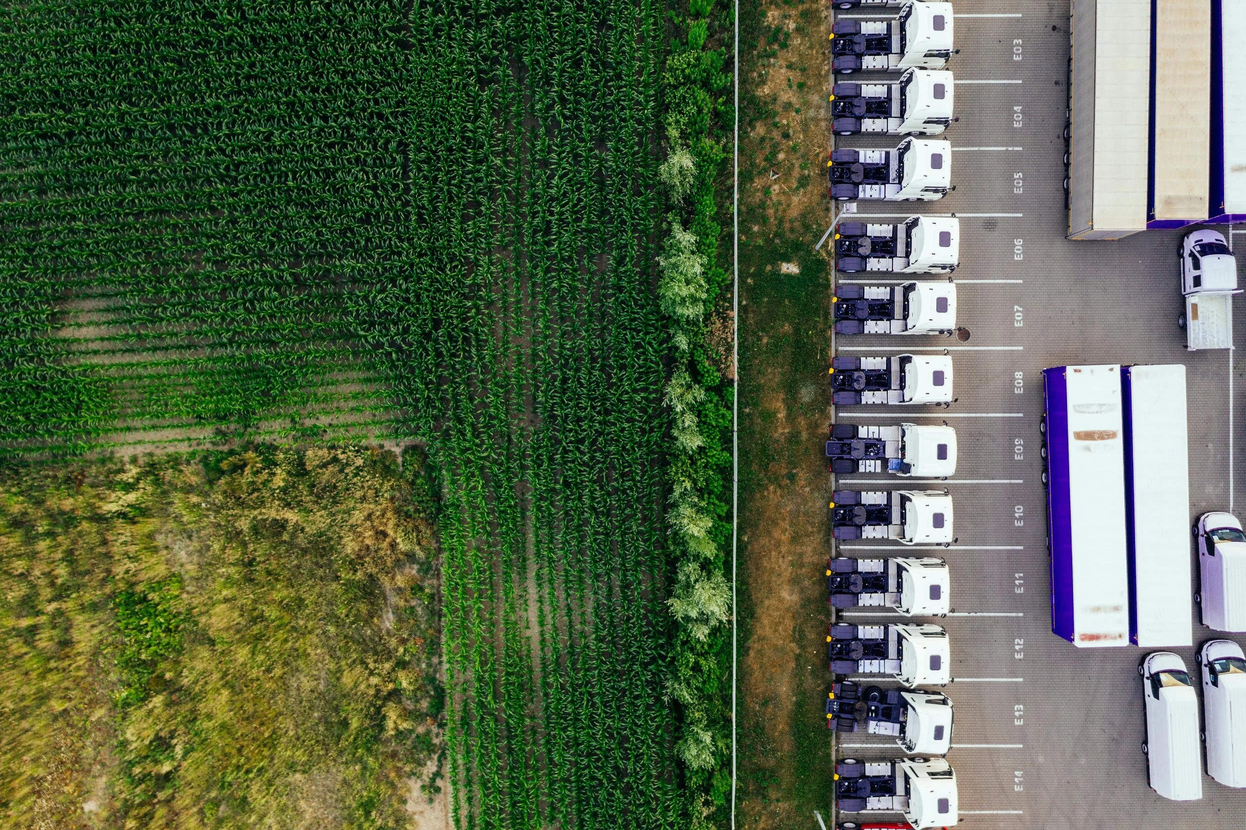 EU supply chain regulations LkSG CSDDD EUDR overview for small and mid-sized businesses