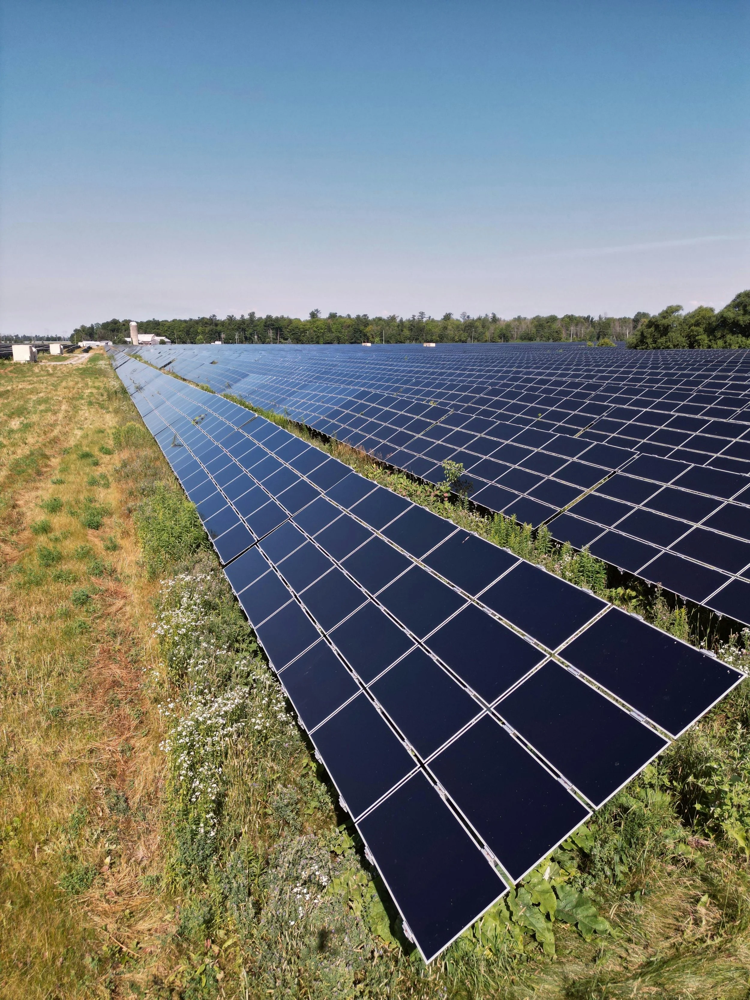 Solarpark in einer Naturlandschaft — Symbol für nachhaltige Lebensmittelproduktion
