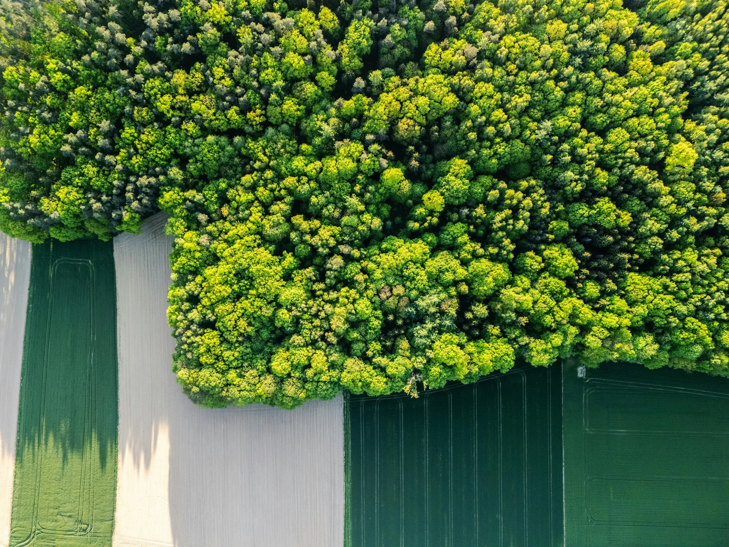 Guide for small businesses preparing EcoVadis documentation for a sustainability assessment