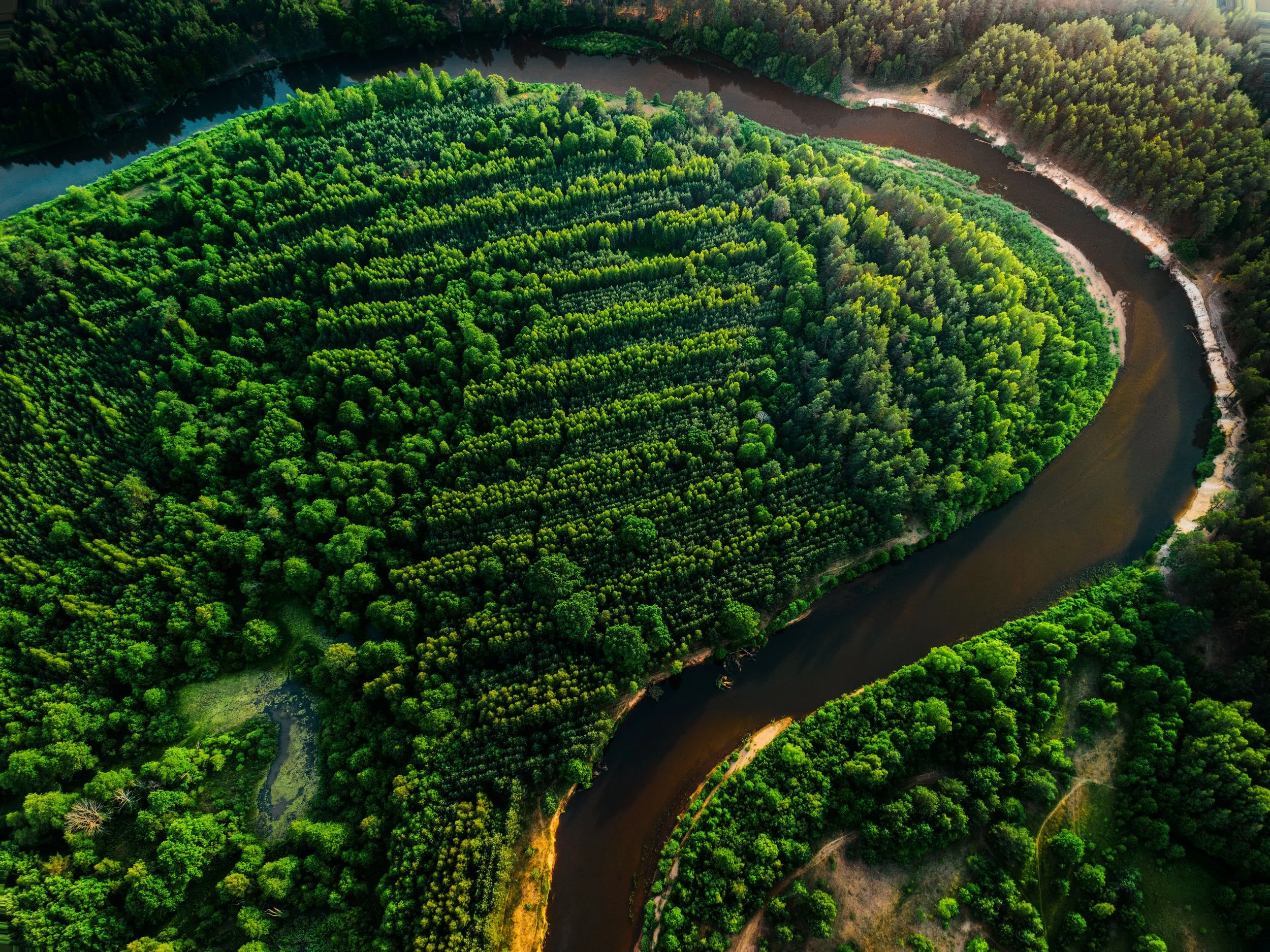 Aerial view of a road through a forest representing a structured EcoVadis assessment and defining the right assessment scope