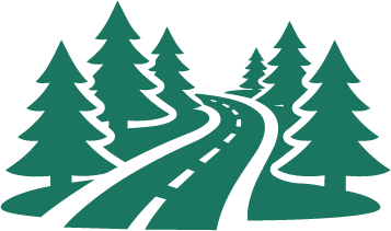 A winding road through a forest of pine trees.