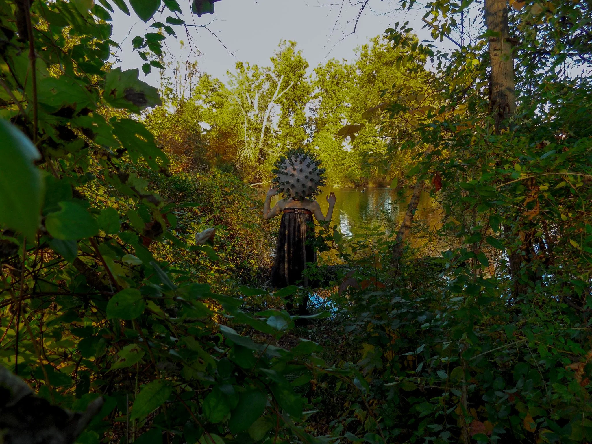 Humans Vs. Nature: The Dance of Coexistance