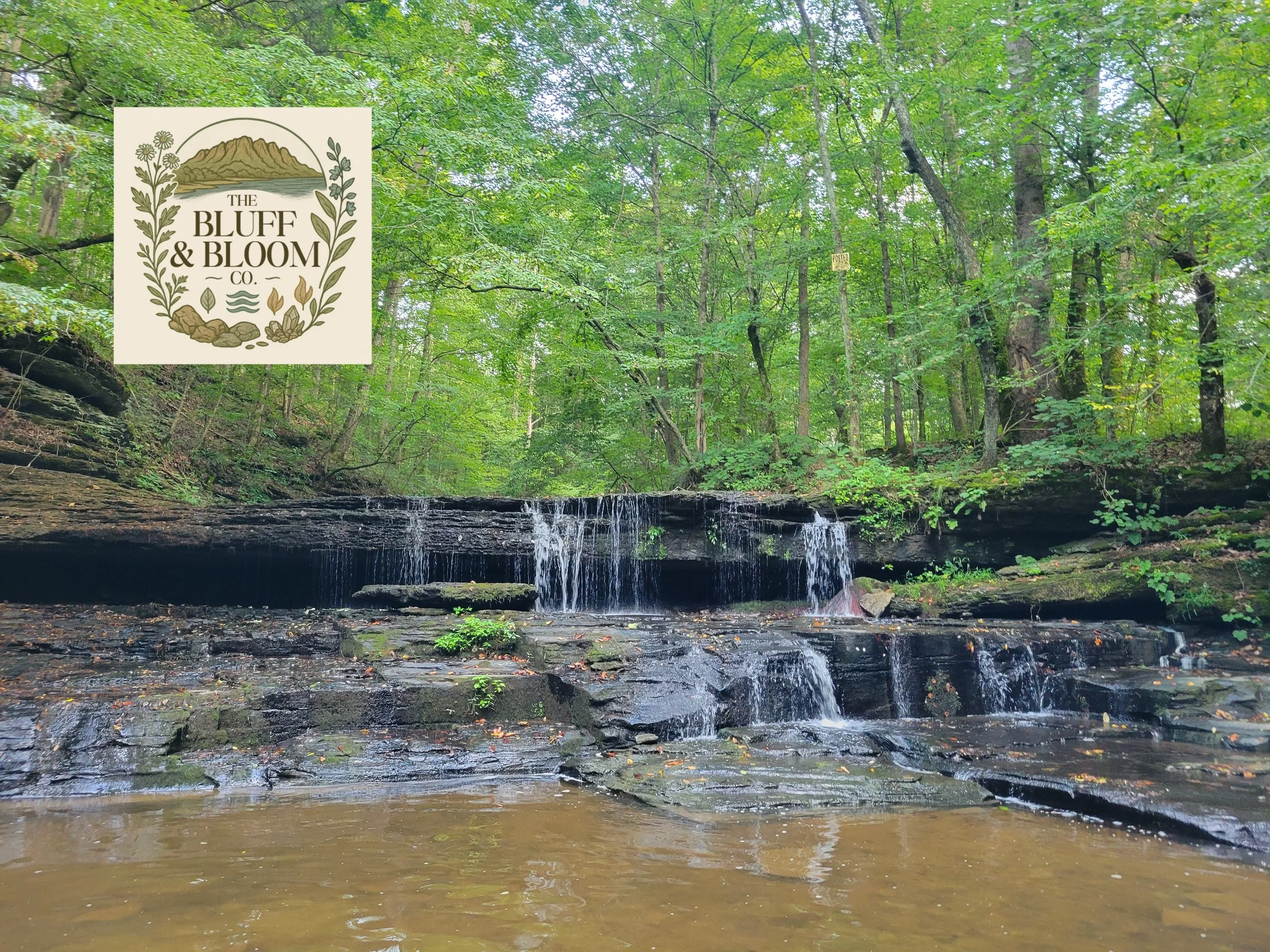 A small waterfall flowing over dark, layered rocks into a shallow pond in a lush green forest. The scene is vibrant with dense trees and foliage. A logo in the upper left corner reads "The Bluff & Bloom Co." featuring a mountain, water, leaves, and flowers.