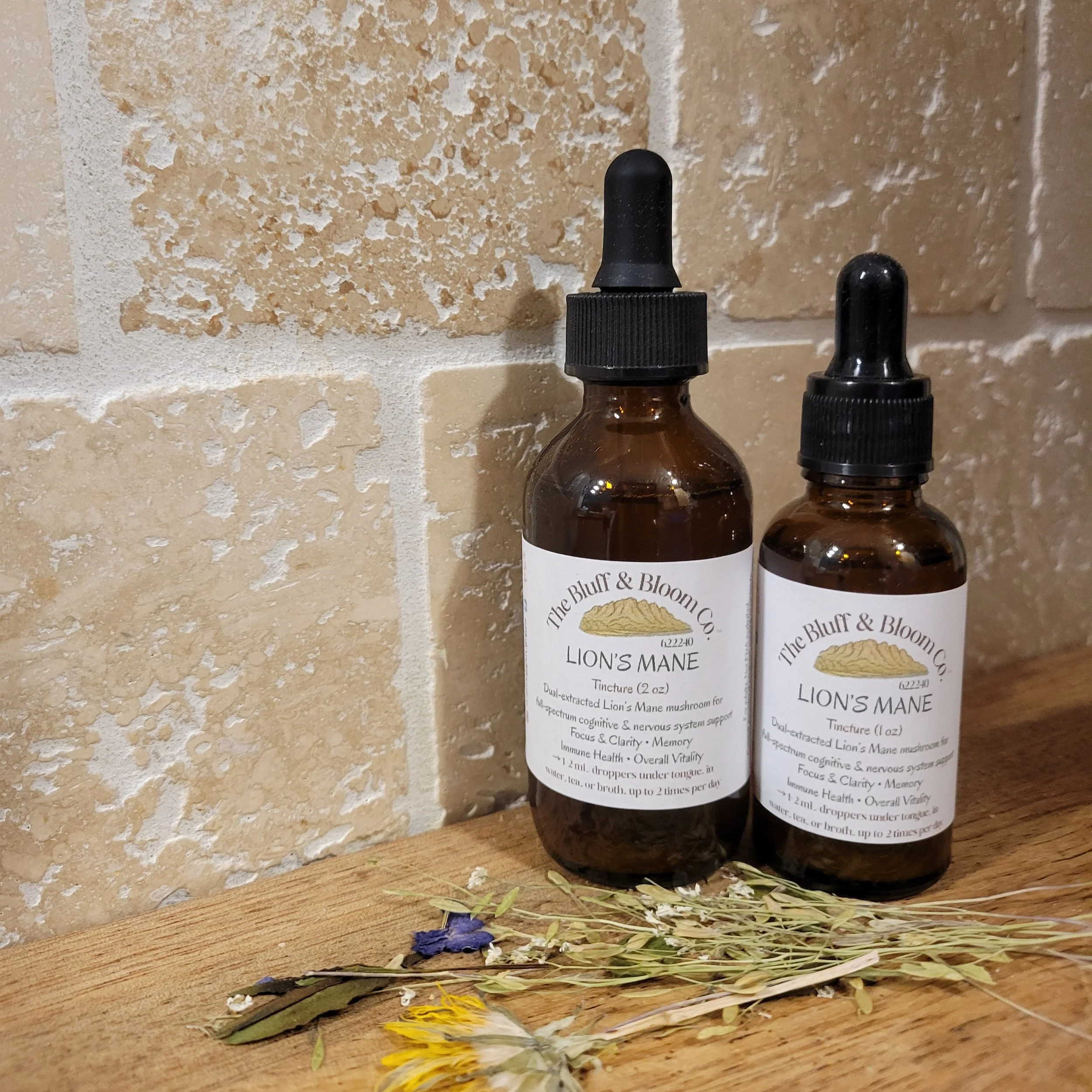 Lion's Mane Tincture (Full Spectrum)