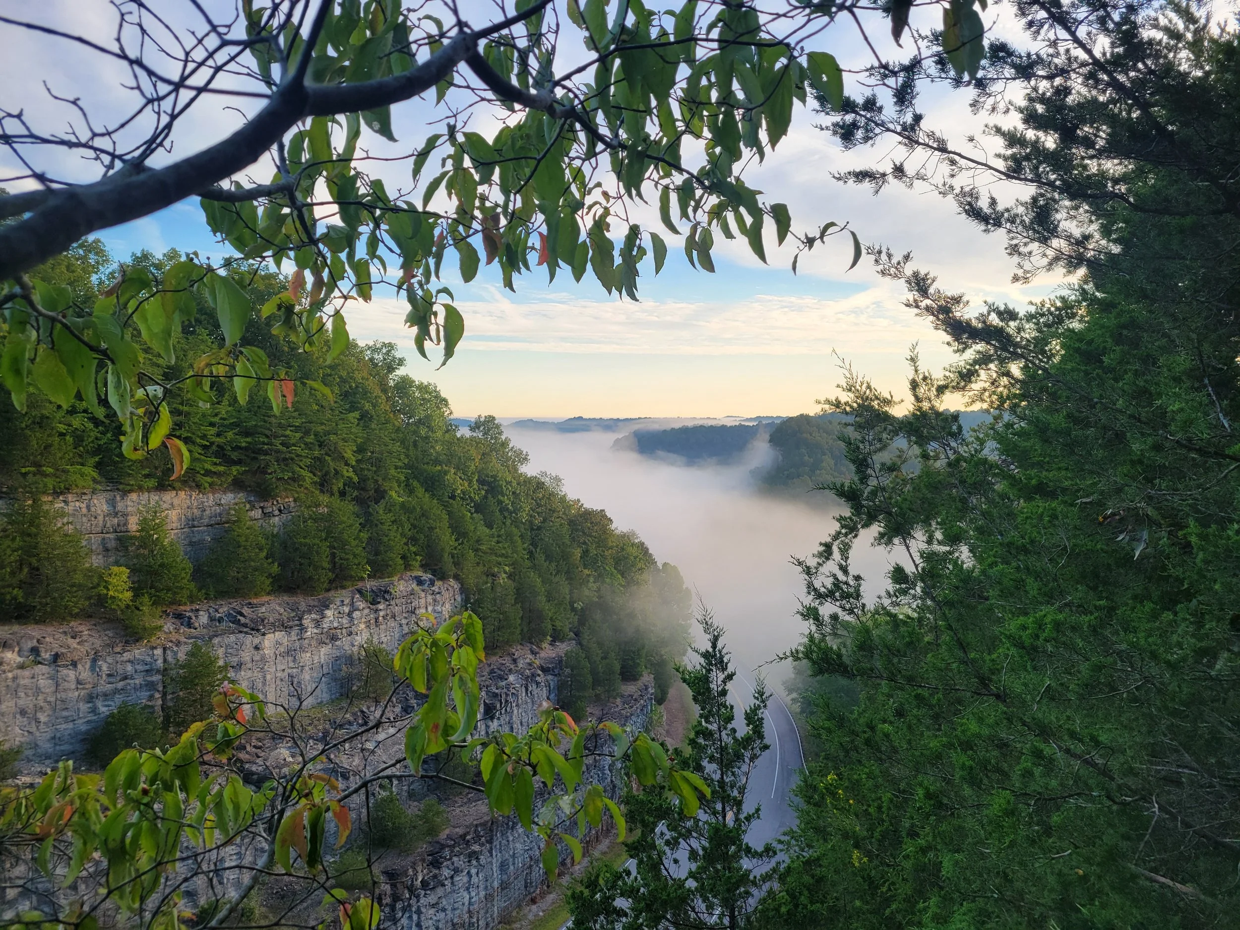 View of a misty canyon with lush green trees and rocky cliffs, seen through tree branches and leaves.