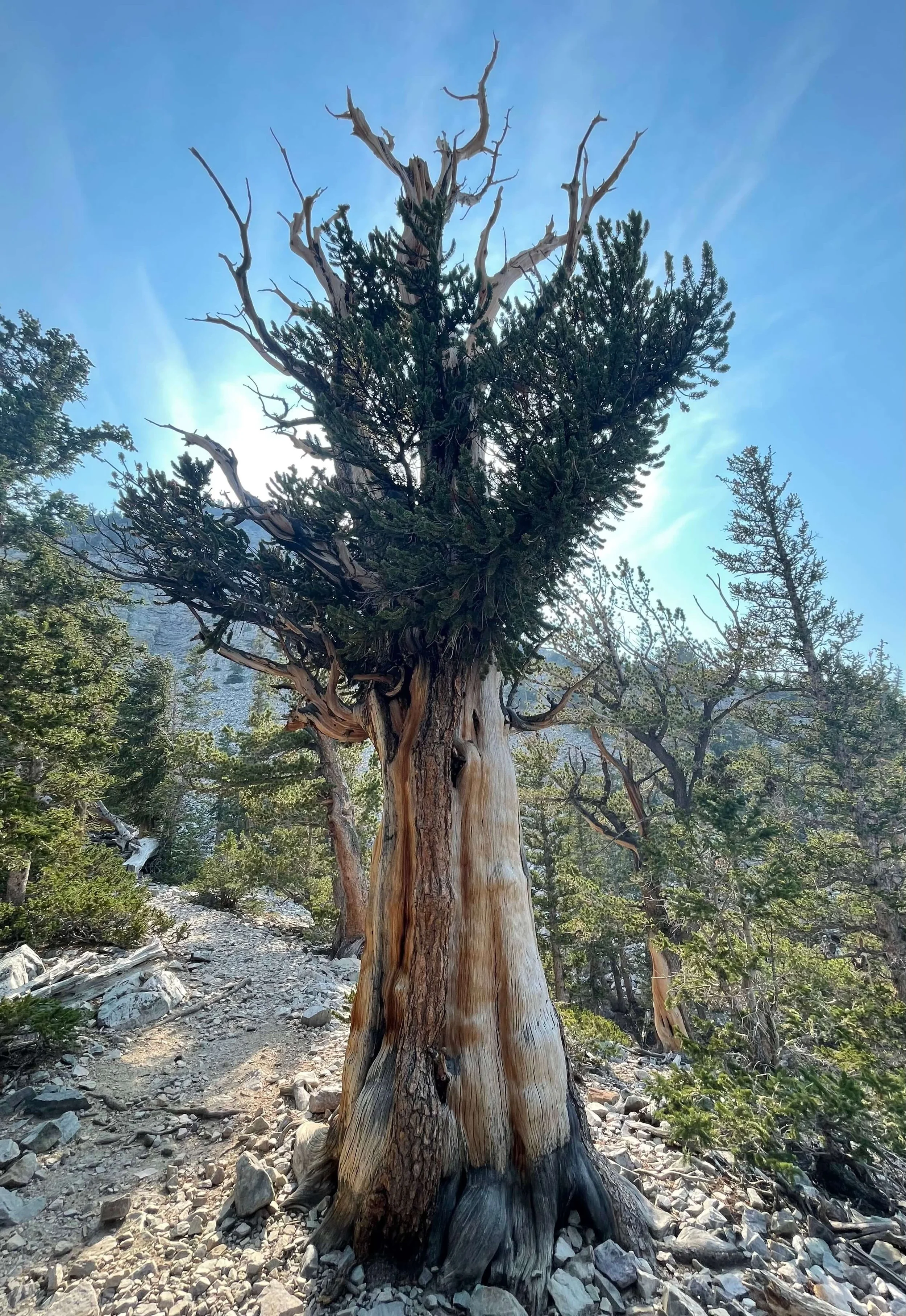 Strength and resilience - values of Empower Physical Therapy in Larchmont