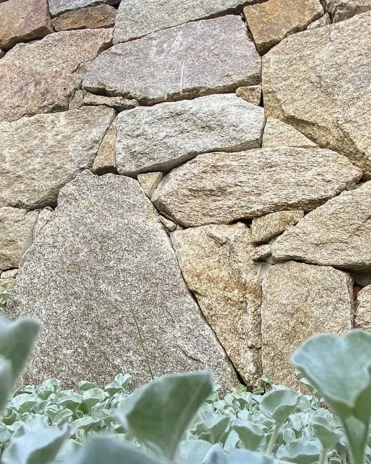 Custom stone-clad wall with elegant planting.