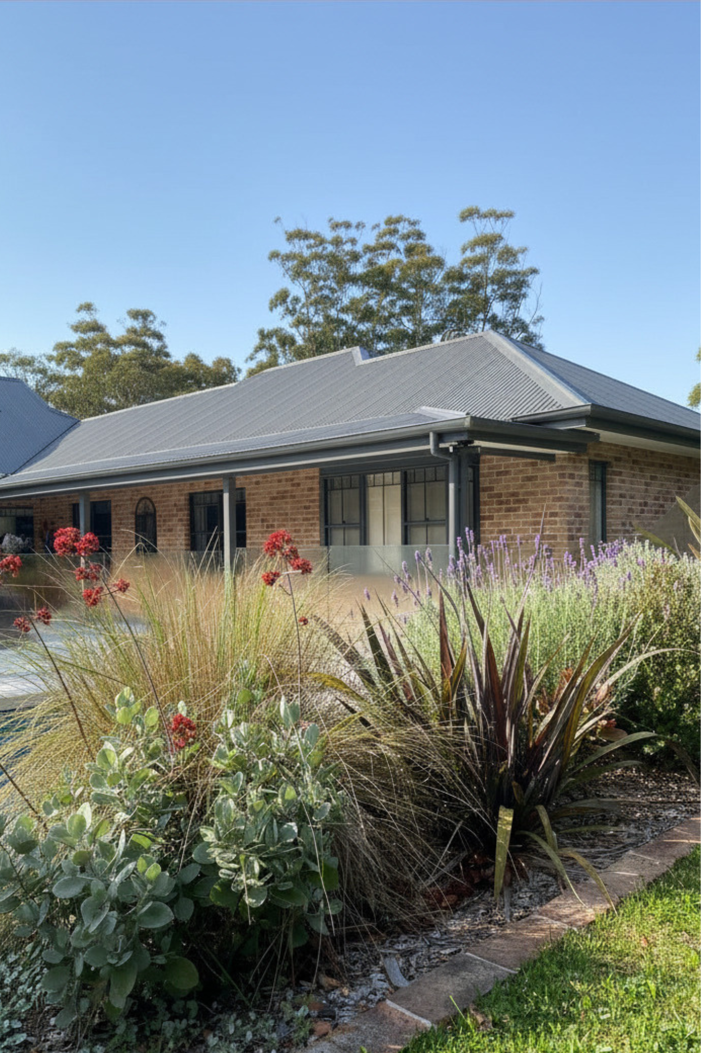 Mixed rustic x native planting