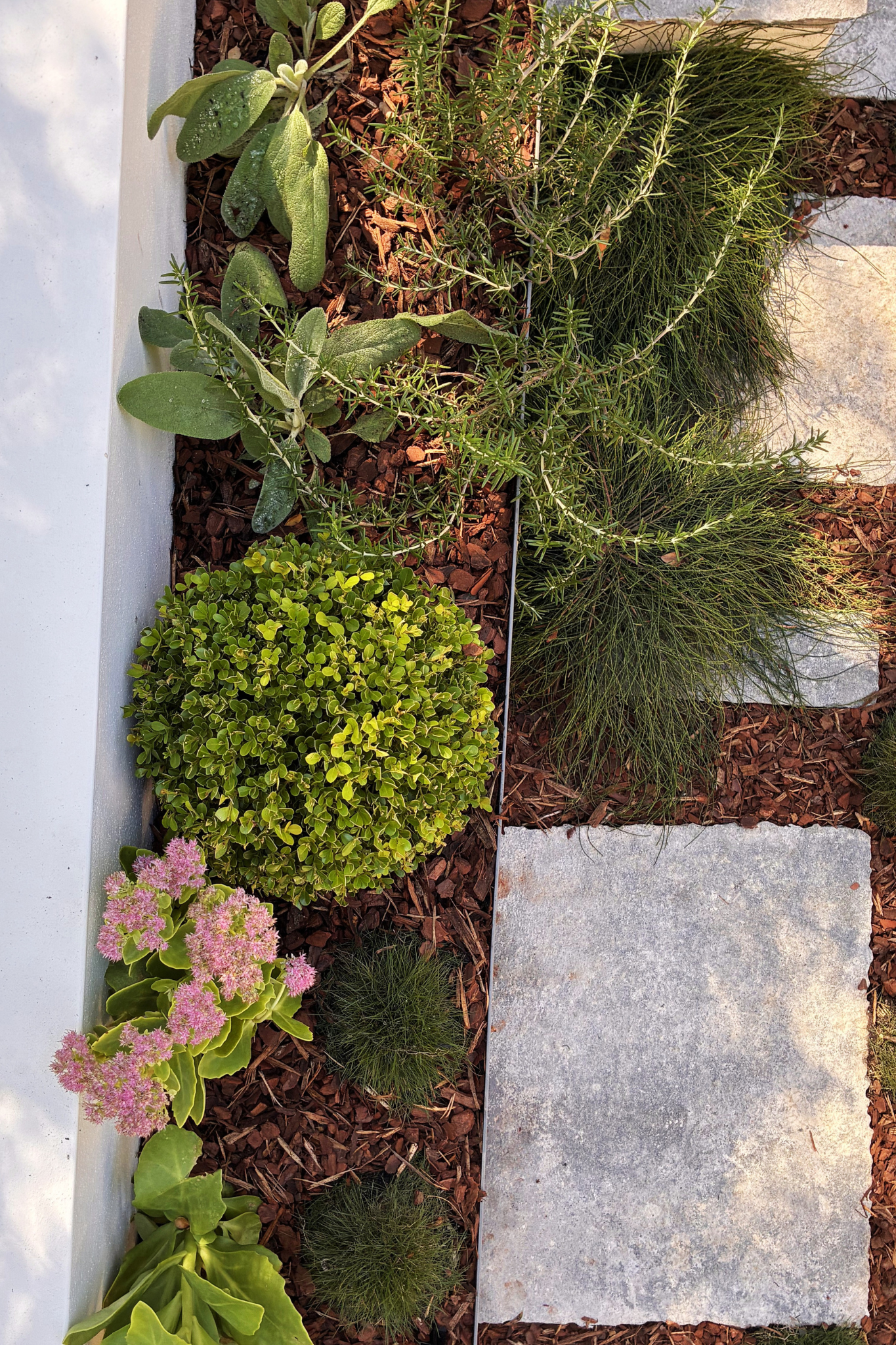 Planter box with mixed planting