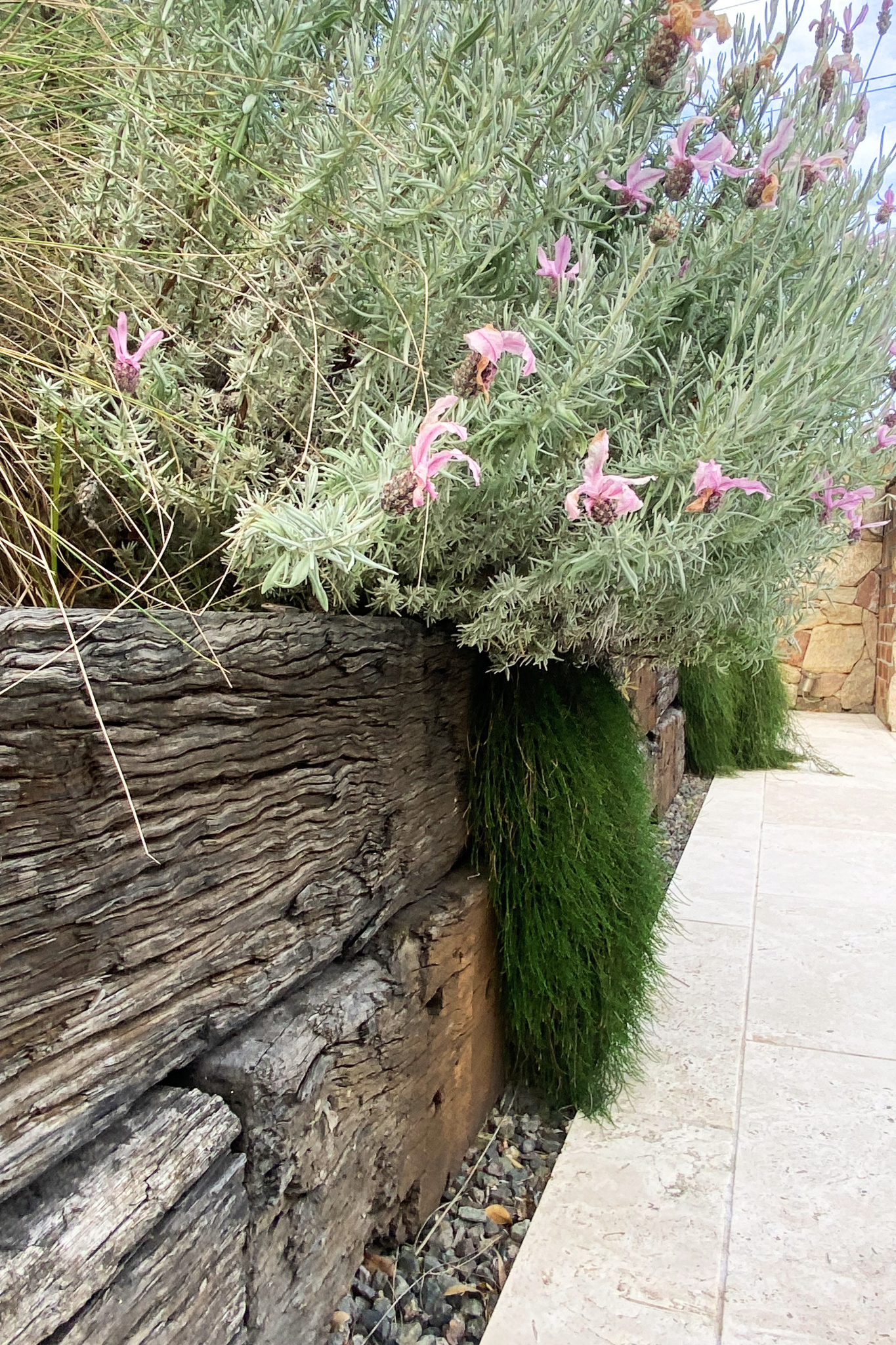Rustic sleeper retaining wall with spillover planting