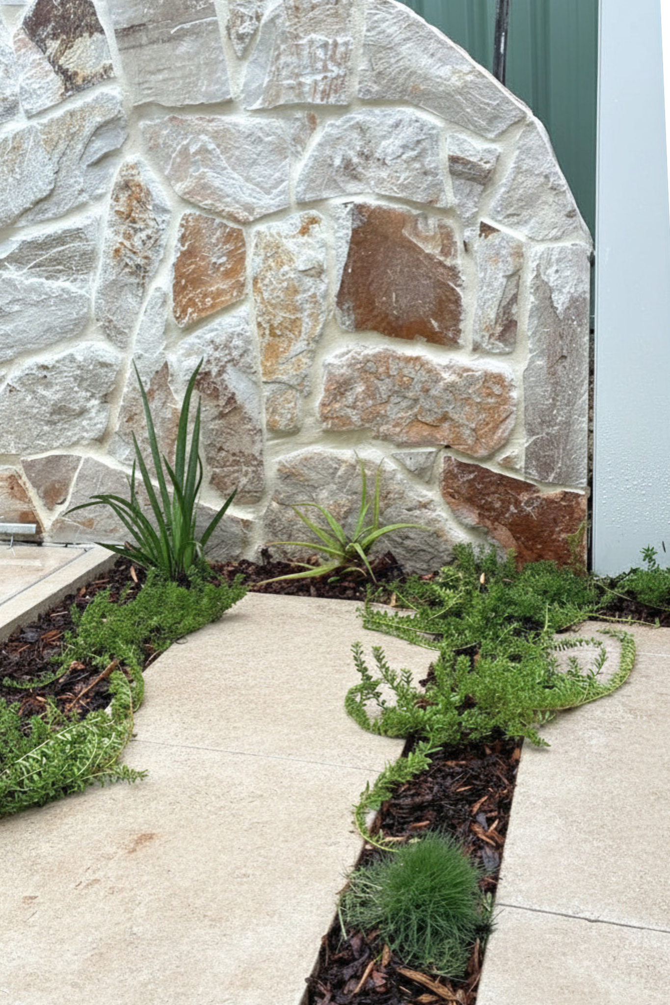 Stone clad feature wall with curve and integrated planting