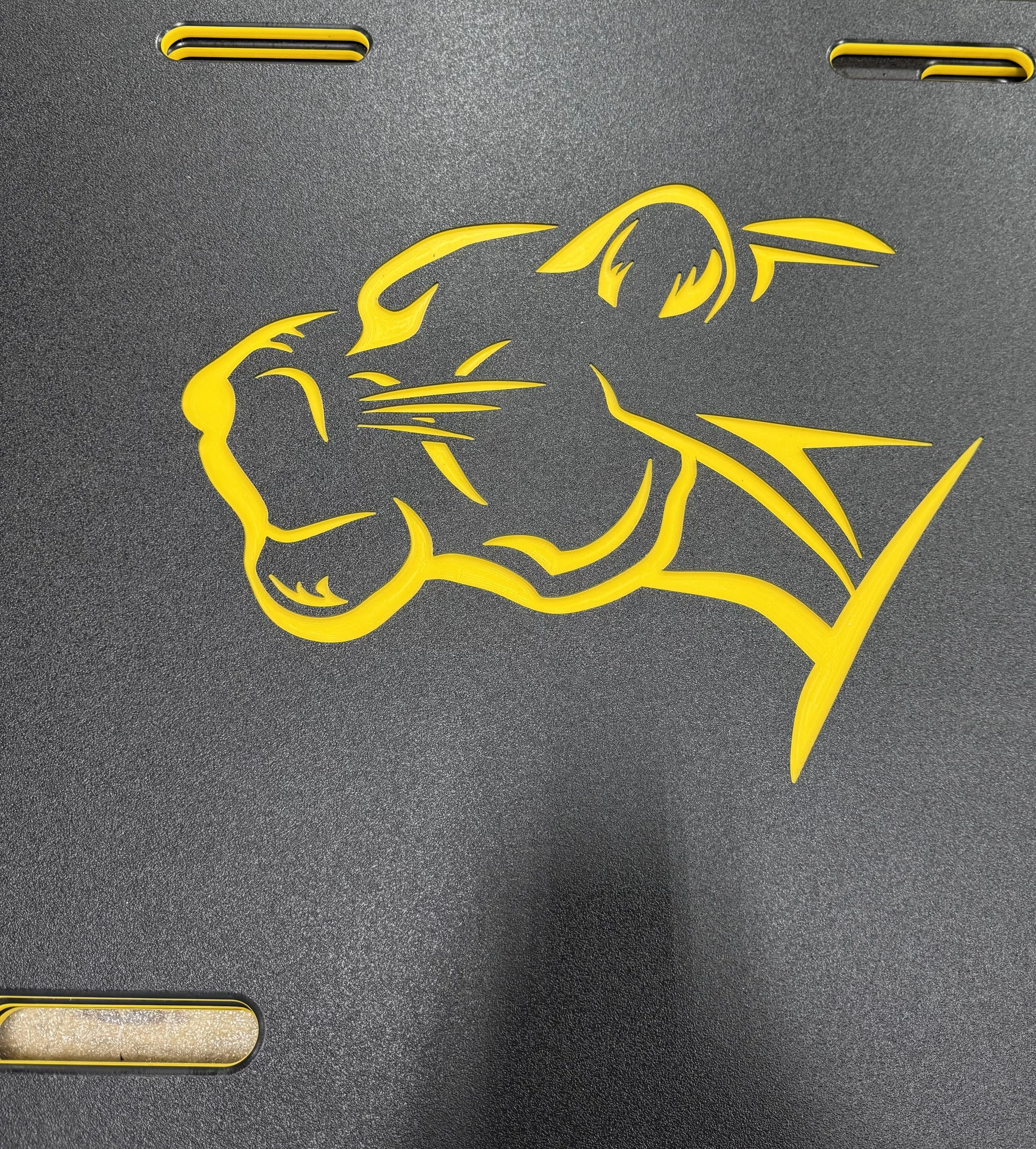 Gaga Pit Custom Logo 2