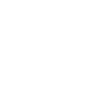 White portability icon