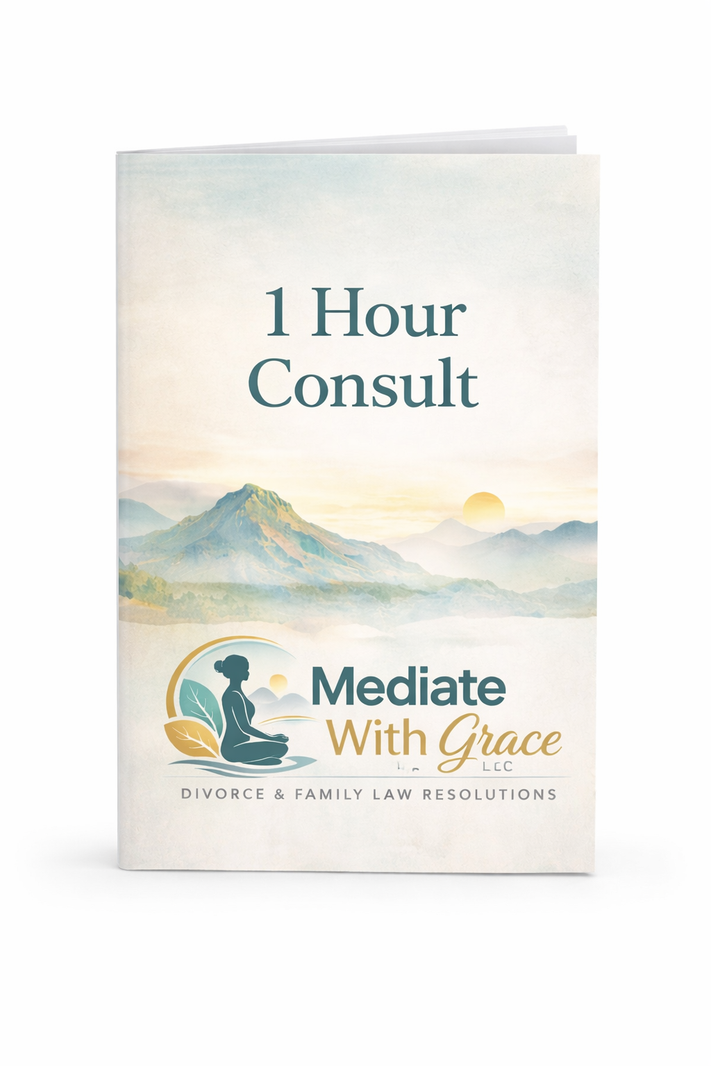 Paid Consult and/or Hourly Work