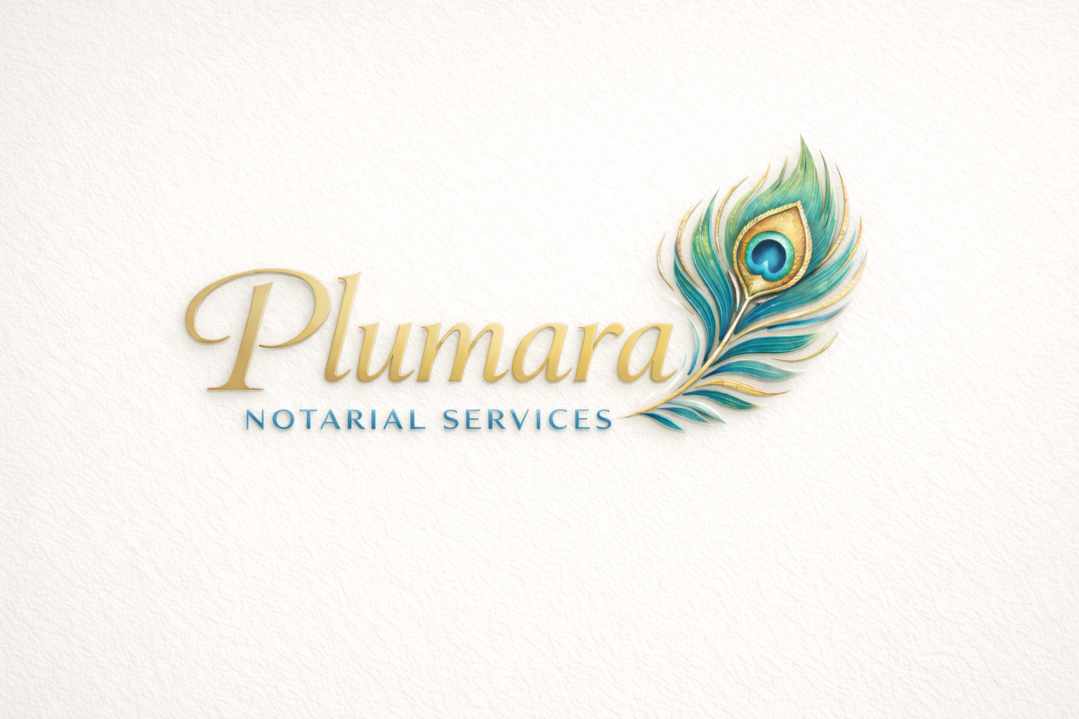 What happens at the appointment