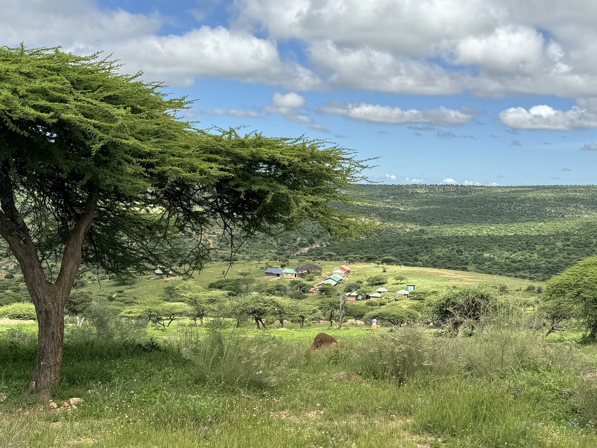 Diversity - The remote (but beautiful), mountain location of Nkiloriti