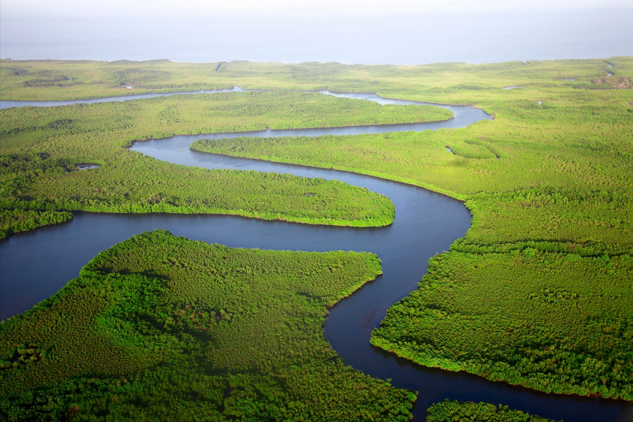 Aerial view of a winding river through lush green wetlands.