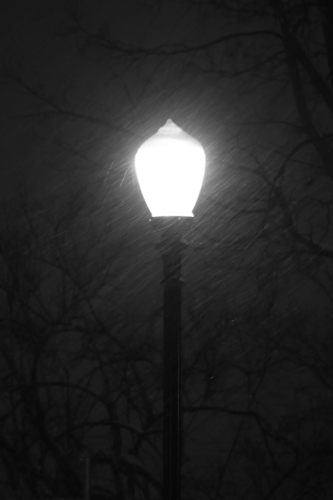 IMG_6115.jpeg