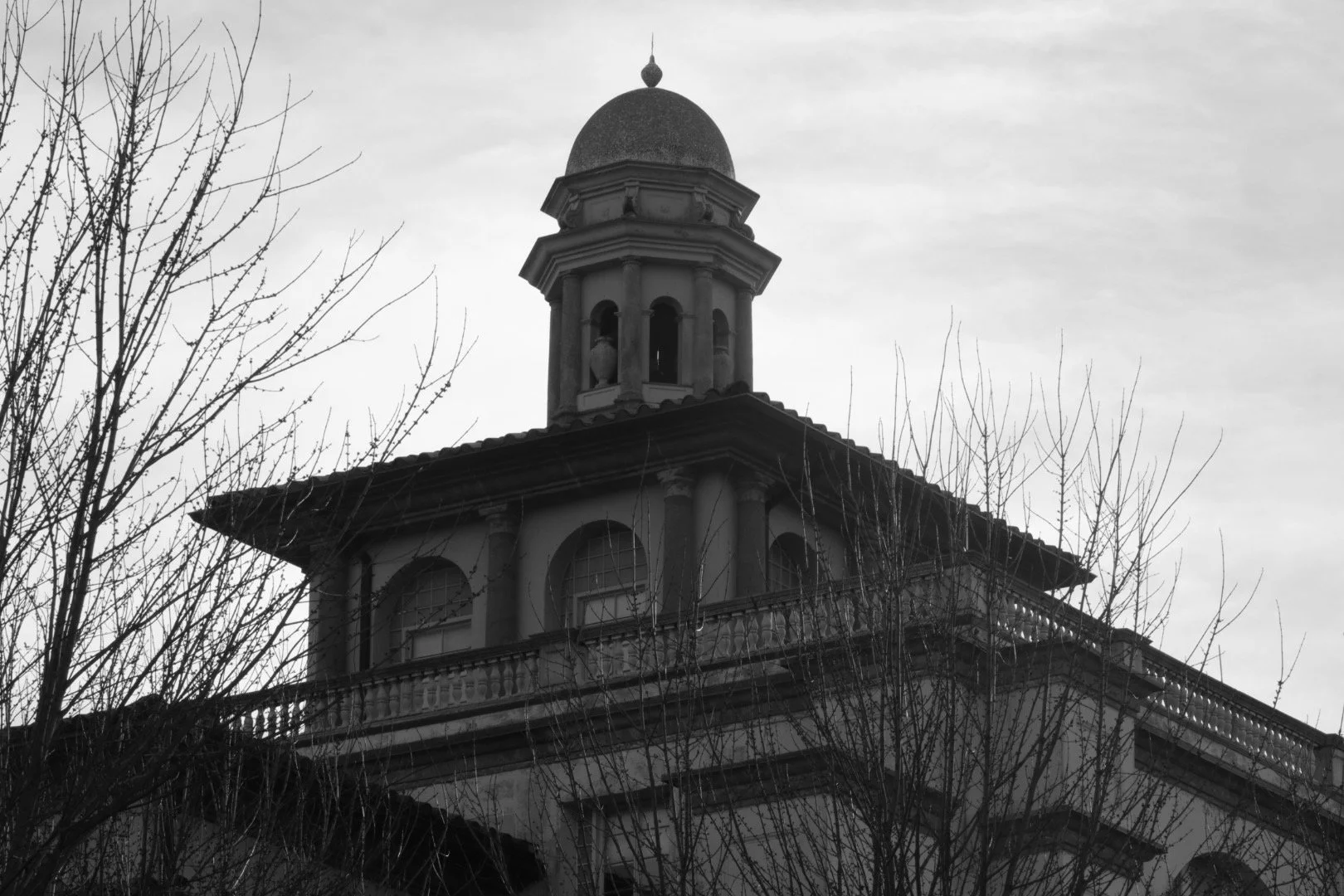 IMG_6174.jpeg
