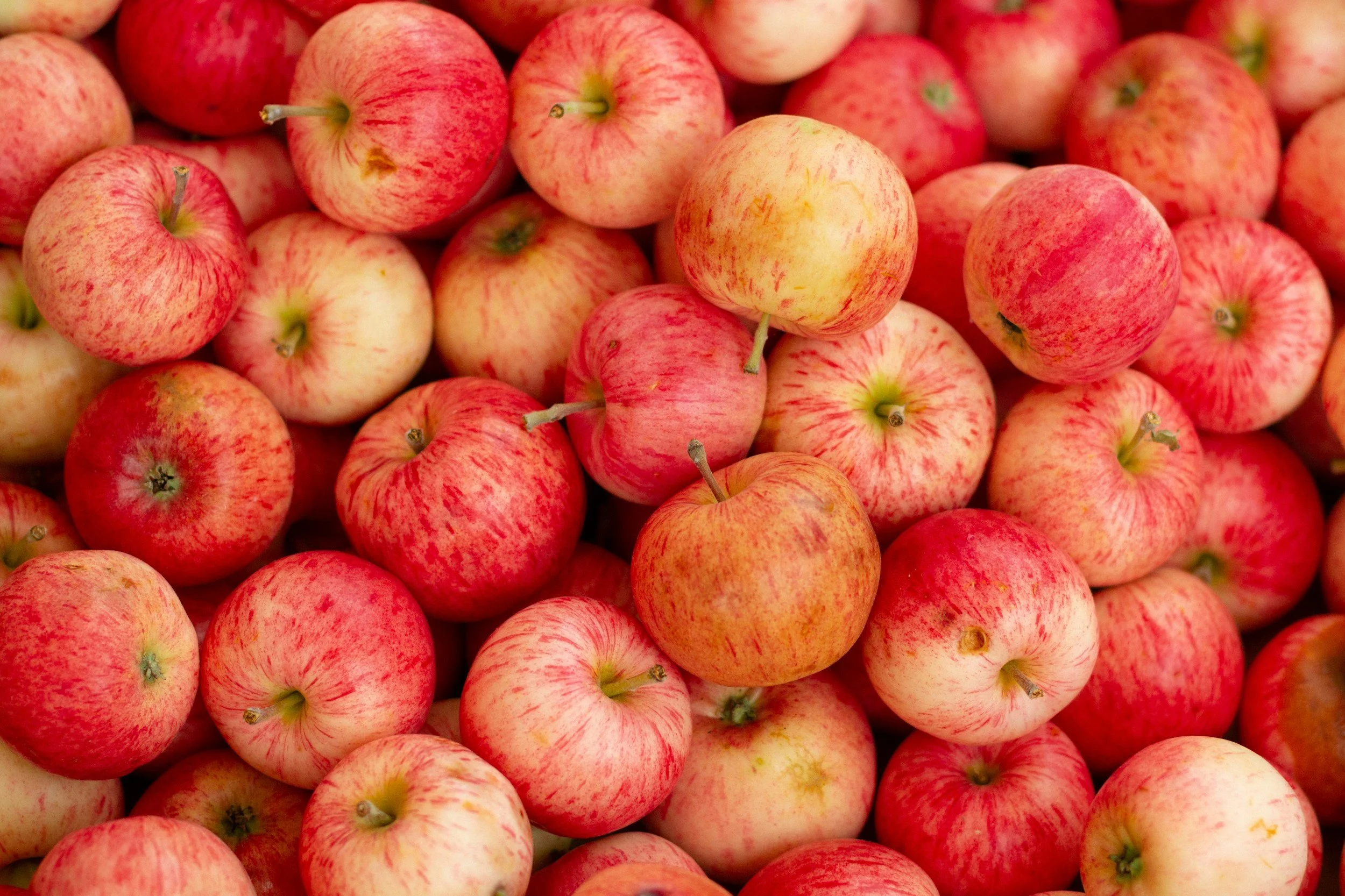 A close-up of a large pile of apples