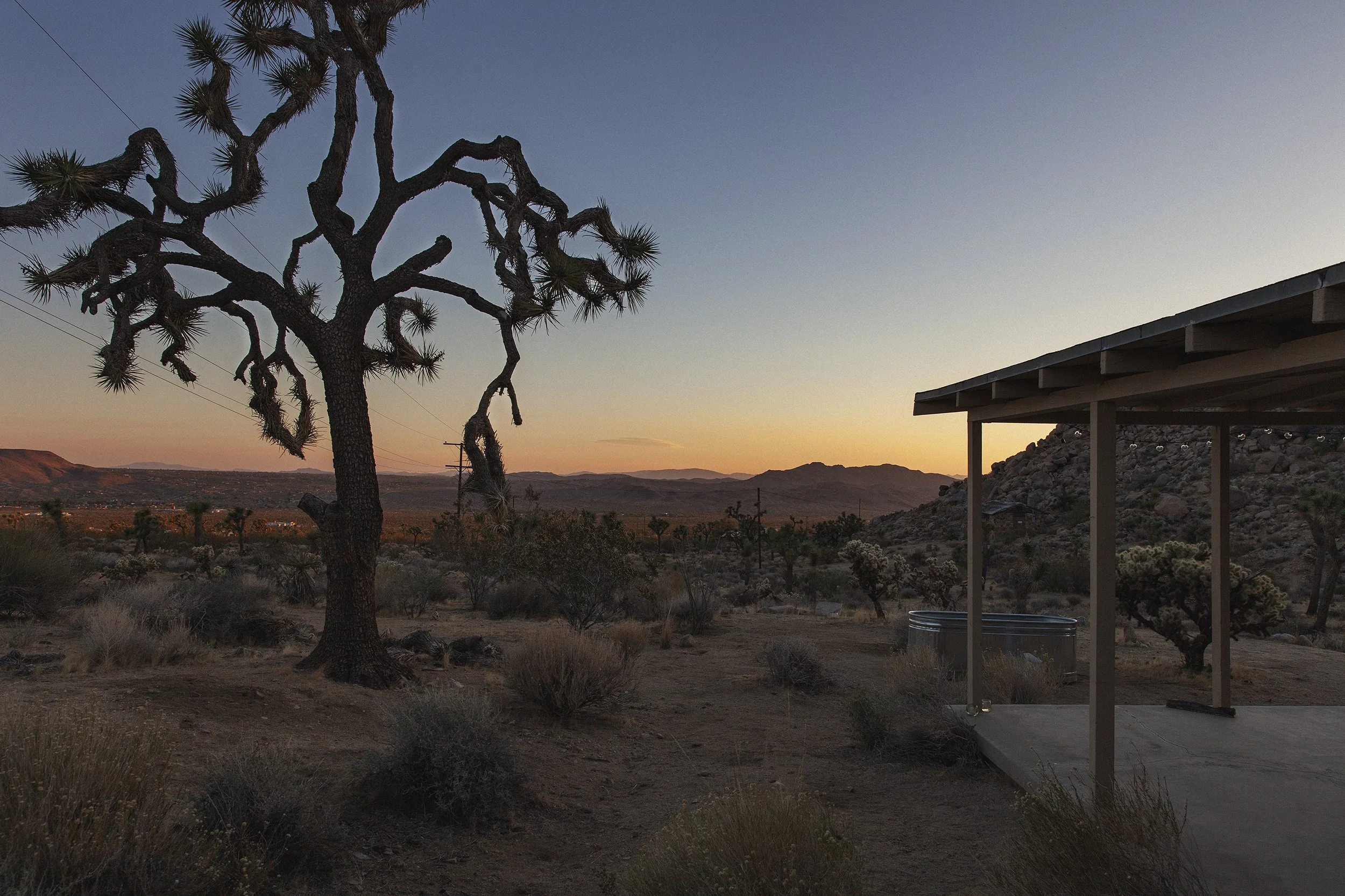 A desert landscape at sunset with a twisted Joshua tree on the left, a small covered shelter on the right, and mountains in the distance under a colorful sky.