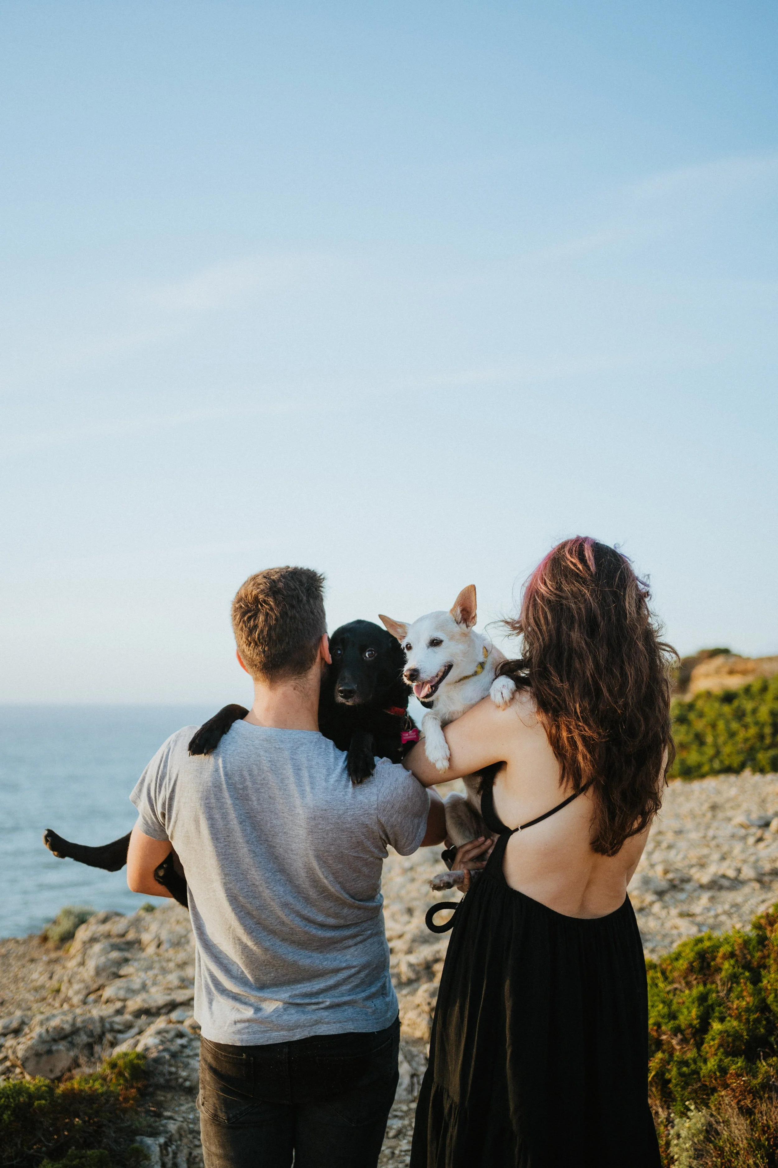 Engagement session with a couple holding their dogs in the ocean.